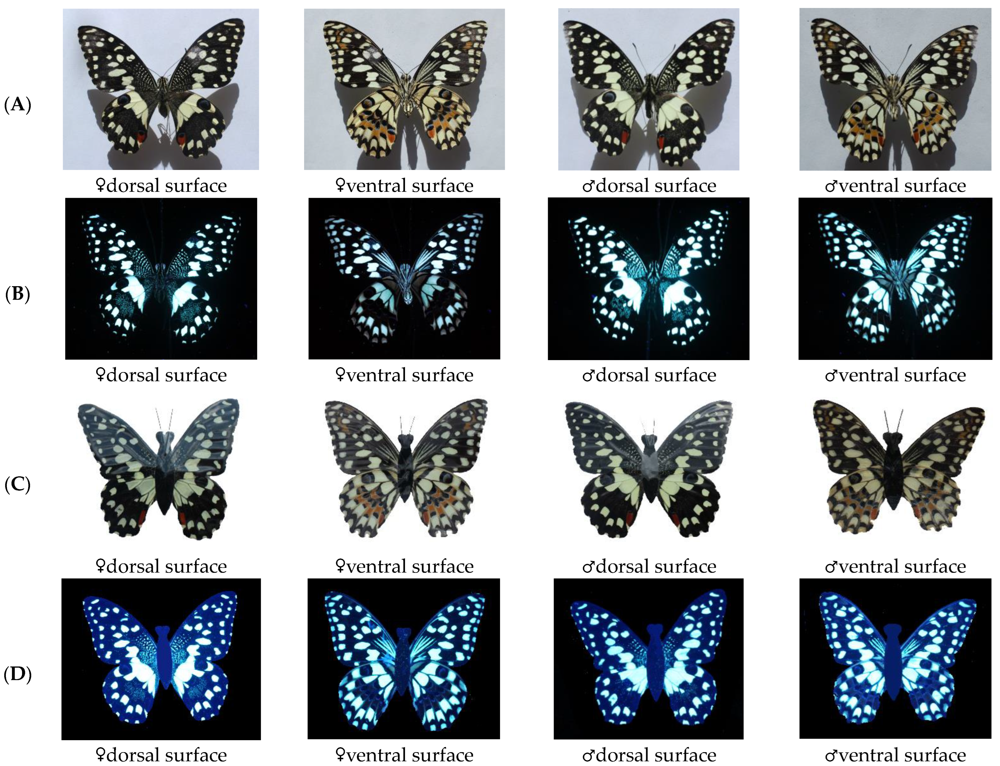 Insects 14 00249 g004