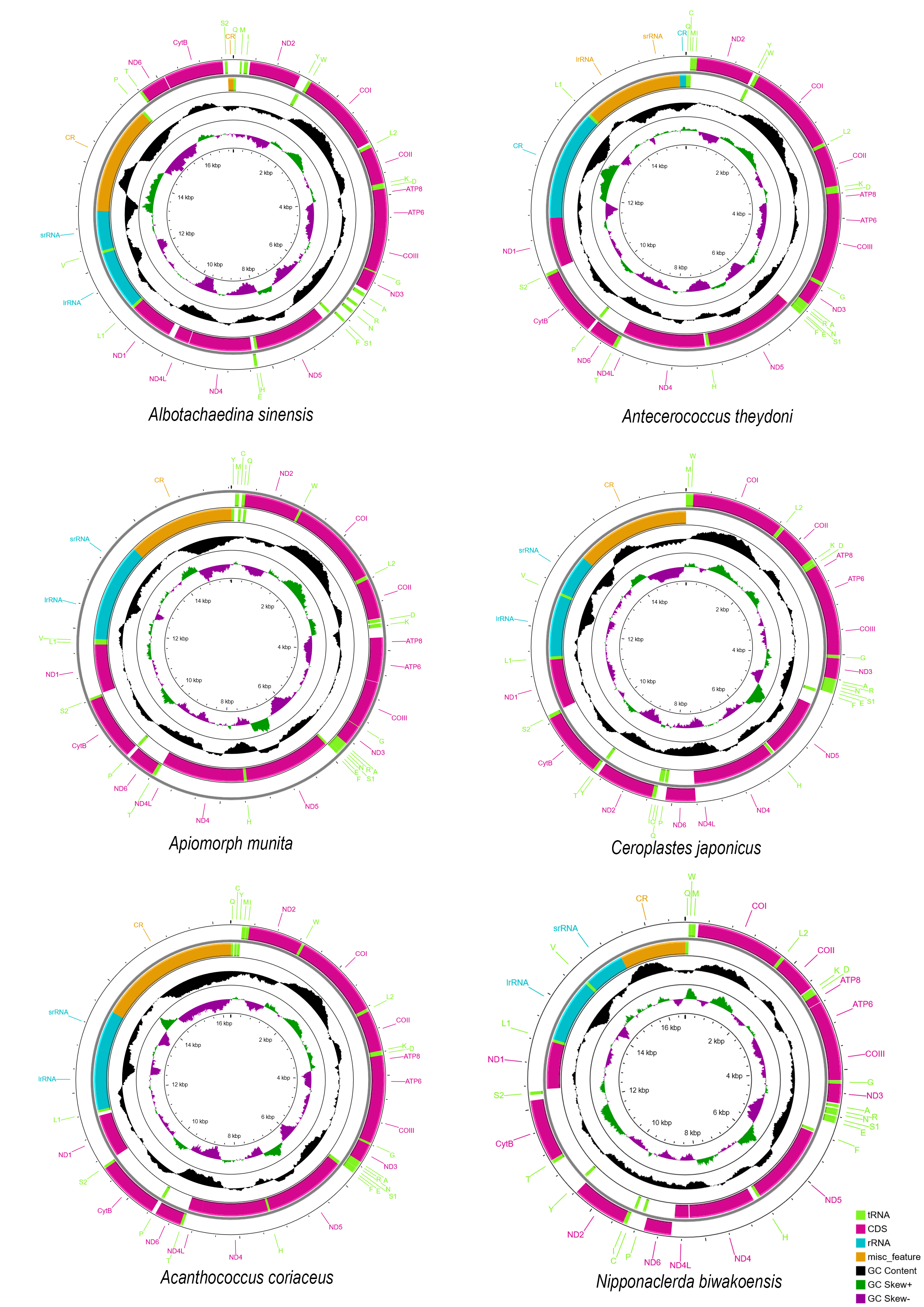 Insects 14 00257 g001 Insects 14 00257 g001