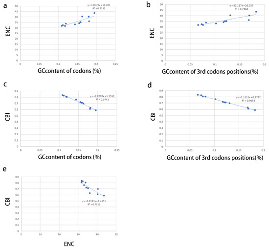 Phylogenetic Implications of Mitogenomic Sequences and Gene ...