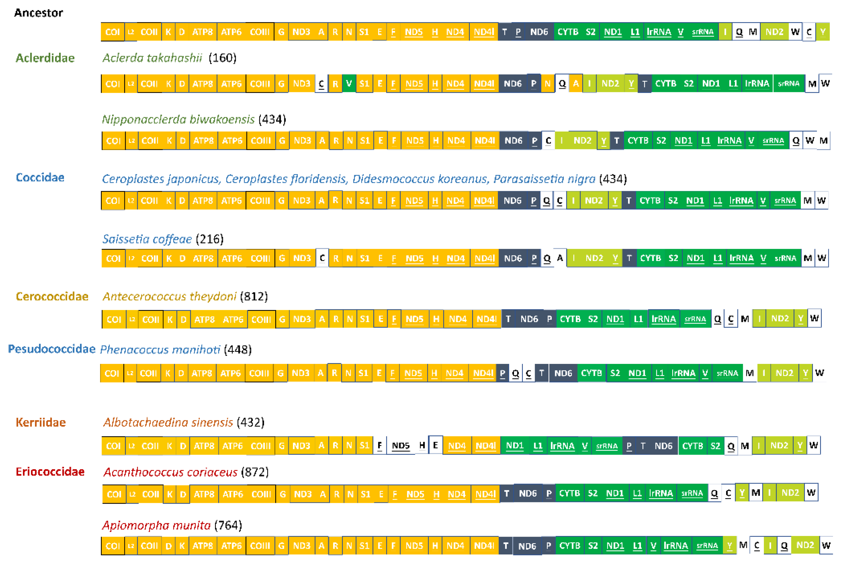 Insects 14 00257 g005 Insects 14 00257 g005