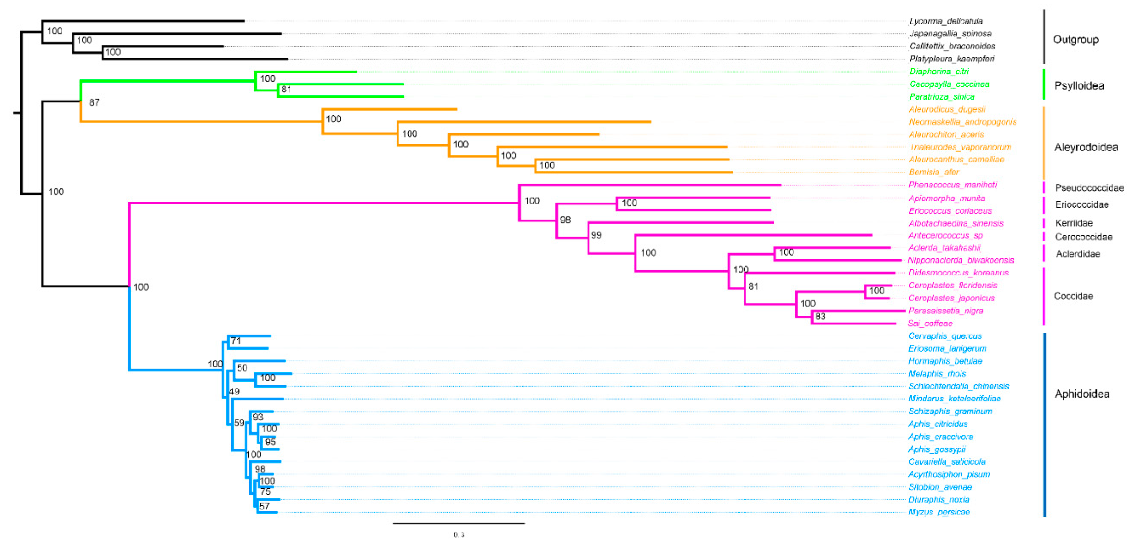 Insects 14 00257 g006 Insects 14 00257 g006