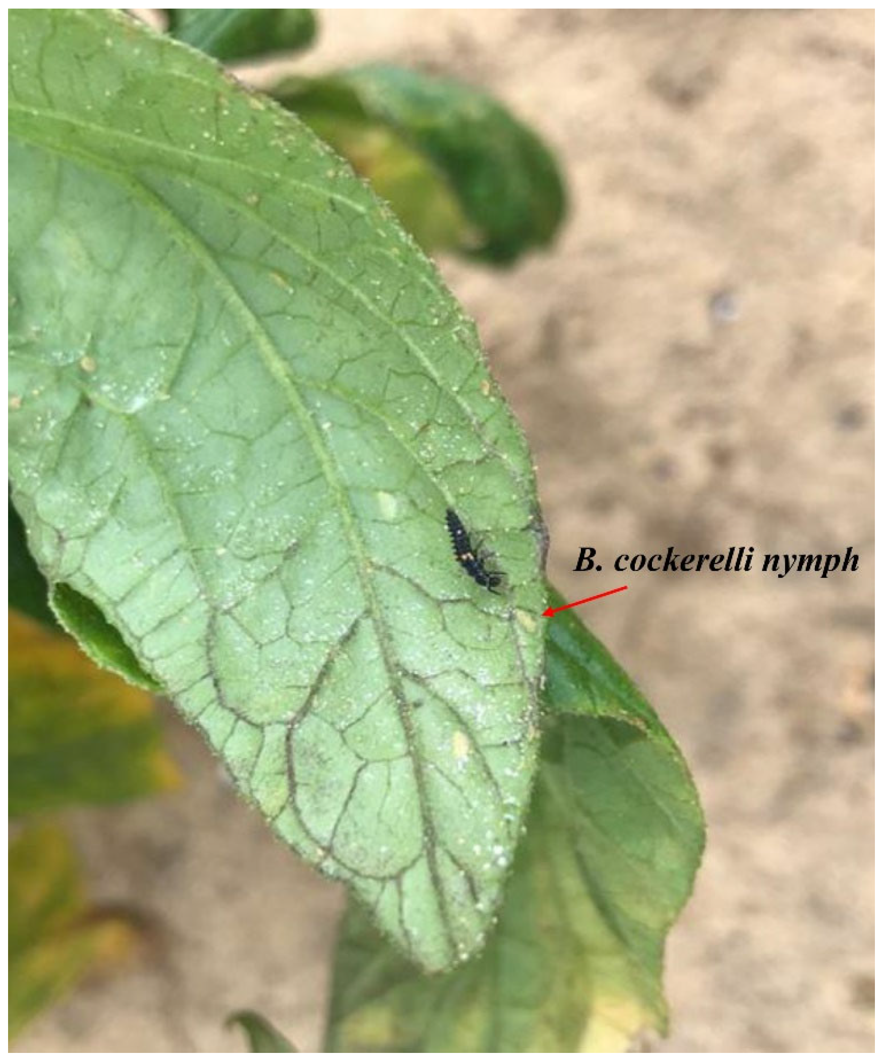 Insects 14 00263 g001 Insects 14 00263 g001