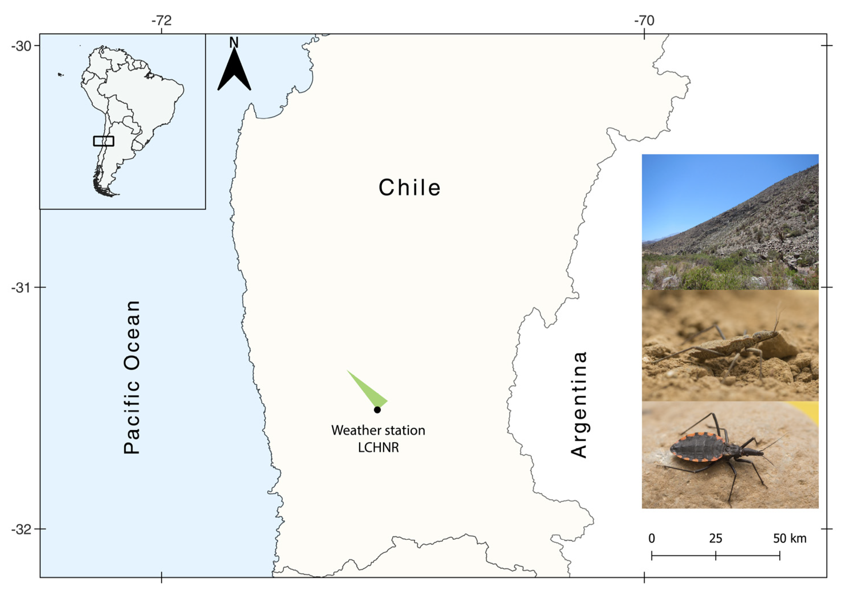 Insects 14 00272 g001 Insects 14 00272 g001