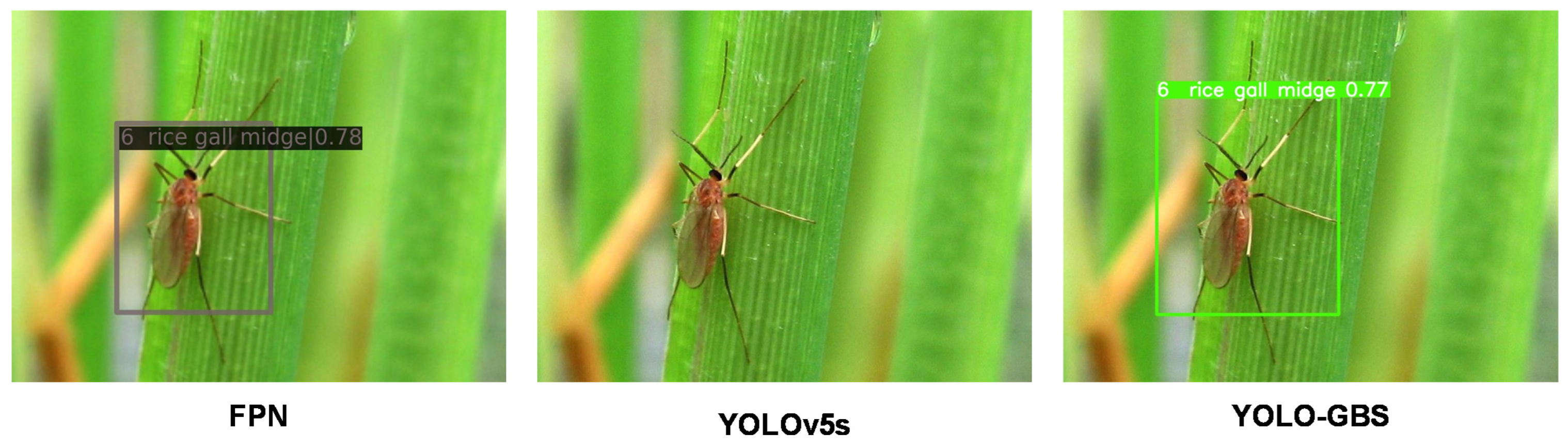 Insects 14 00280 g010 Insects 14 00280 g010