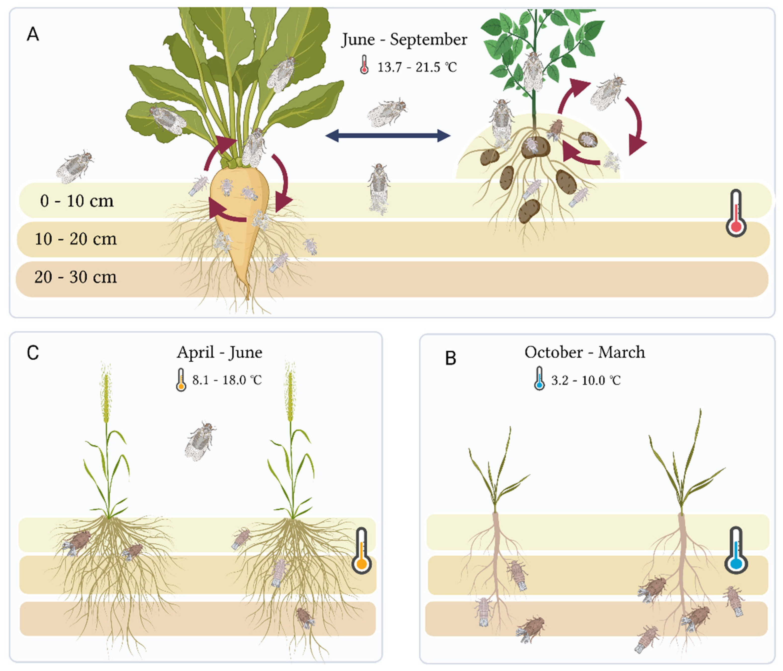 Insects 14 00281 g006