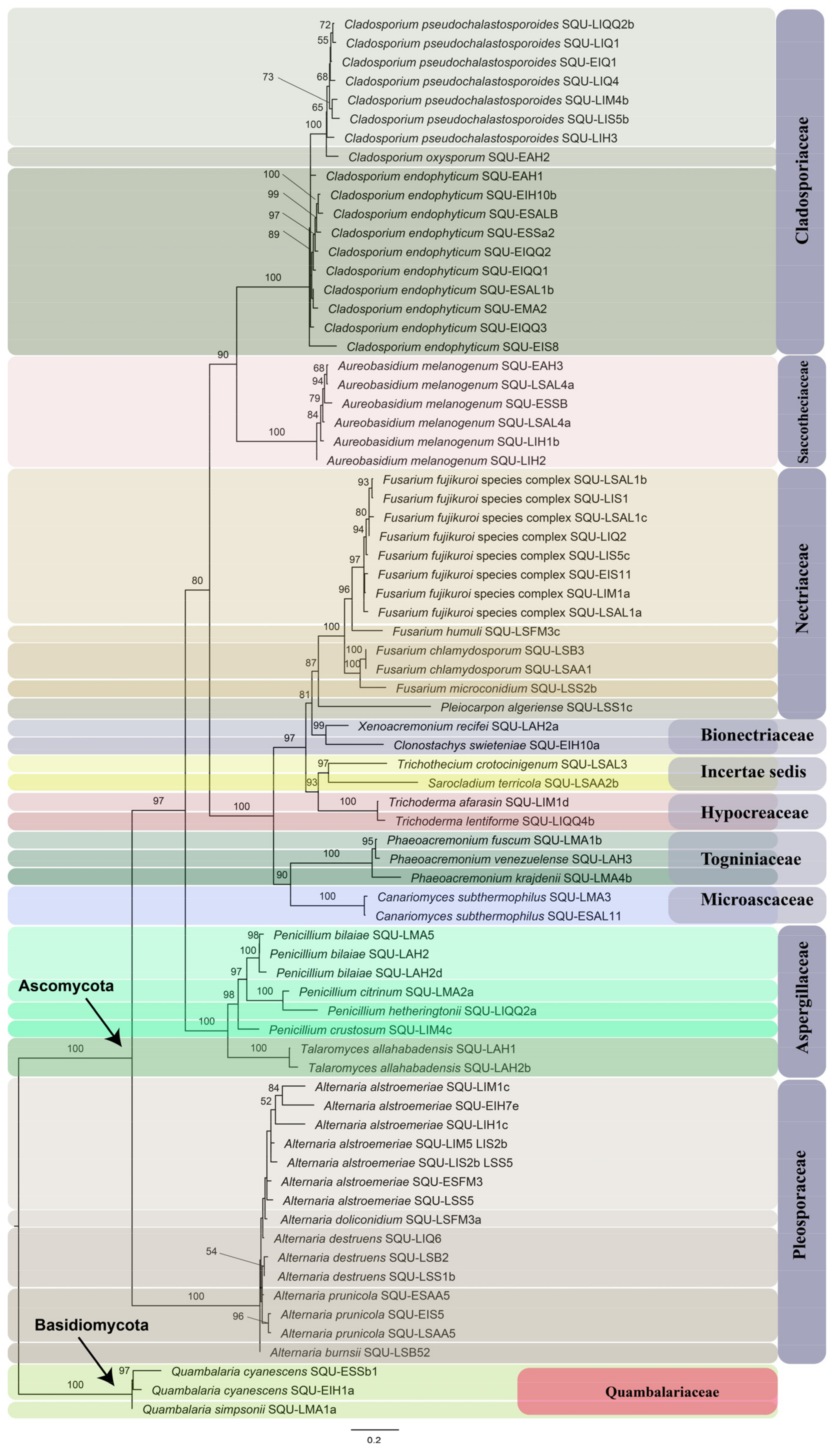Insects 14 00283 g001