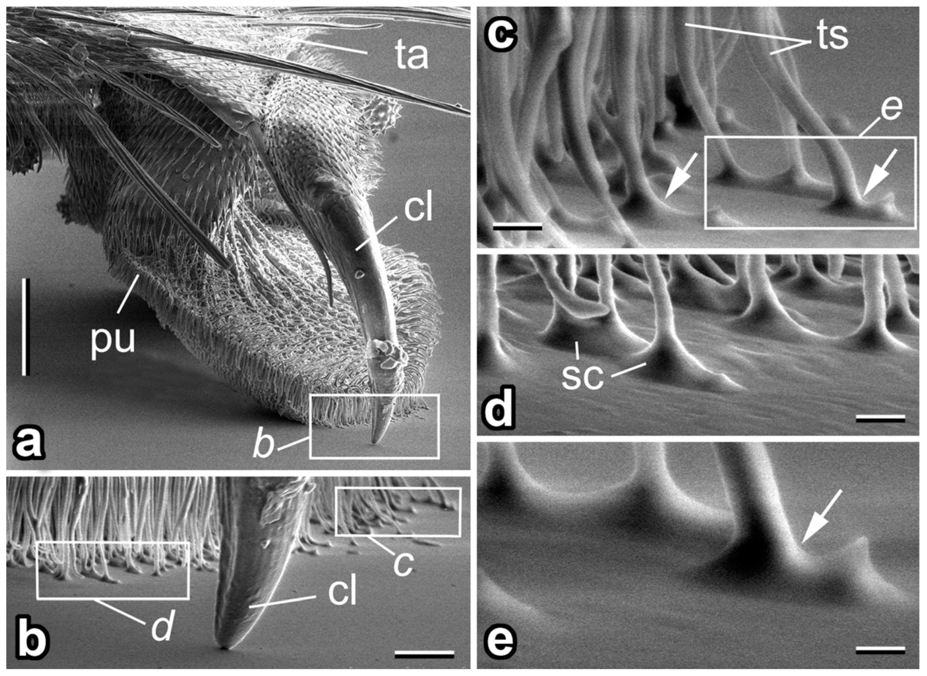 Insects 14 00285 g002 Insects 14 00285 g002