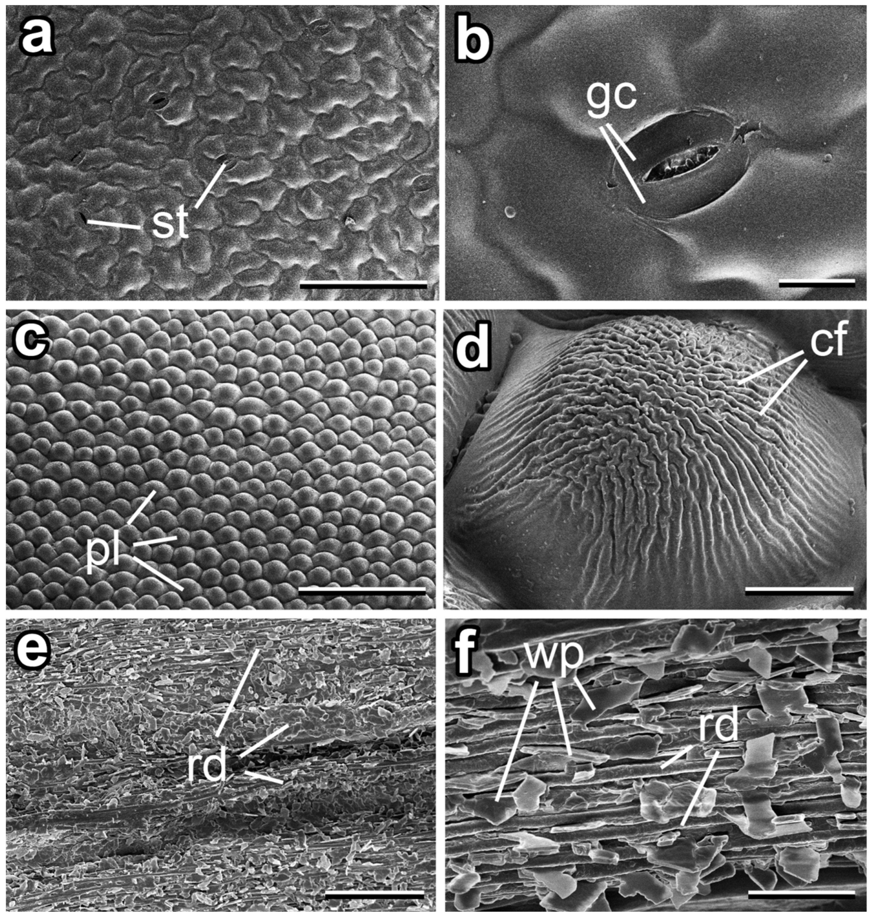 Insects 14 00285 g003 Insects 14 00285 g003