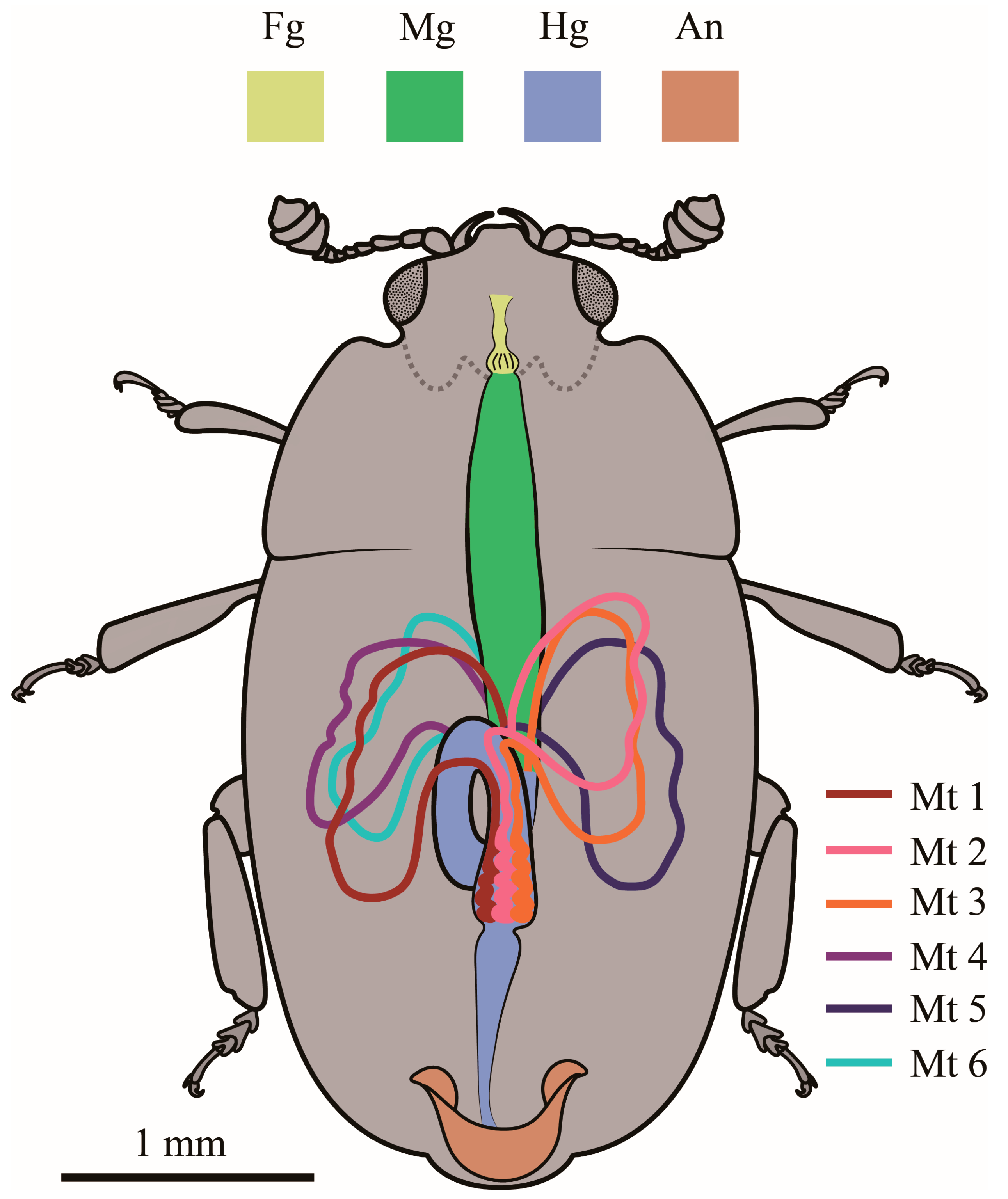 Insects 14 00298 g001 Insects 14 00298 g001
