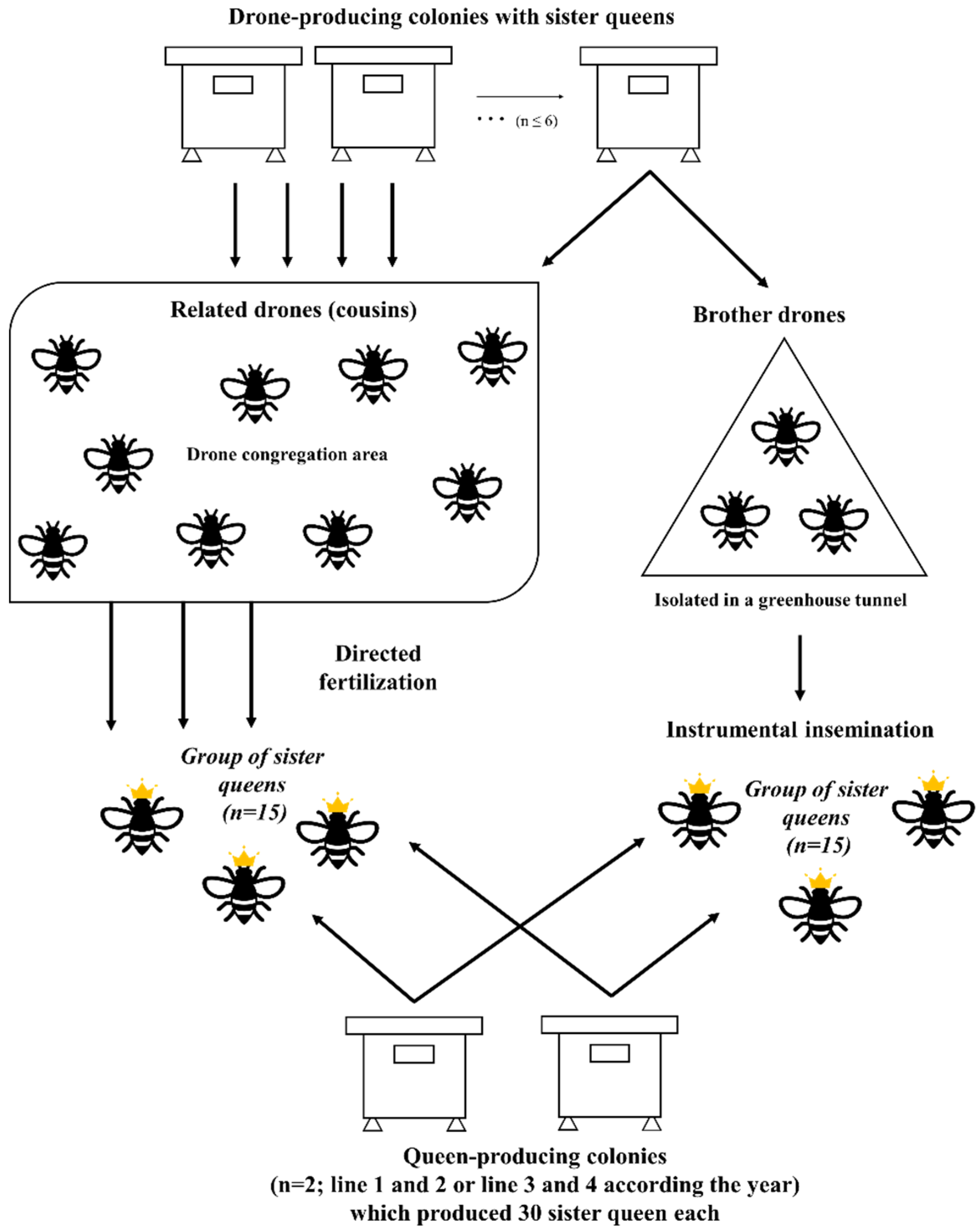 Insects 14 00301 g001