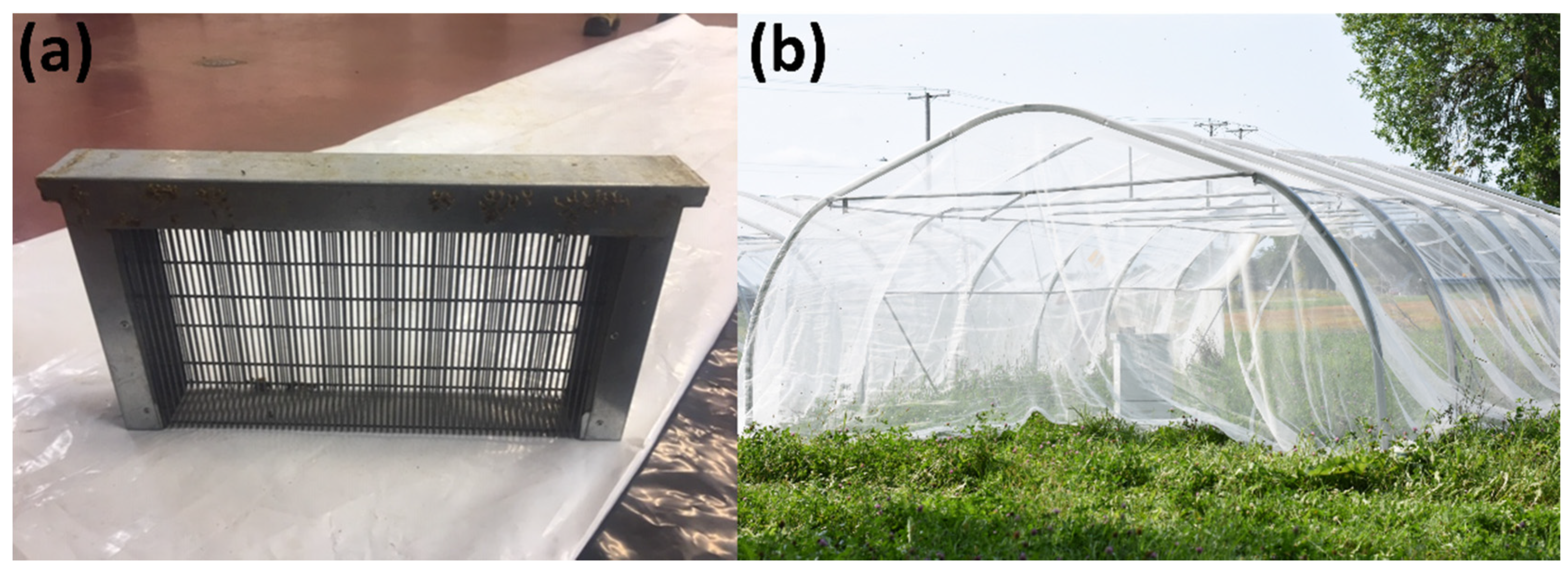 Insects 14 00301 g002