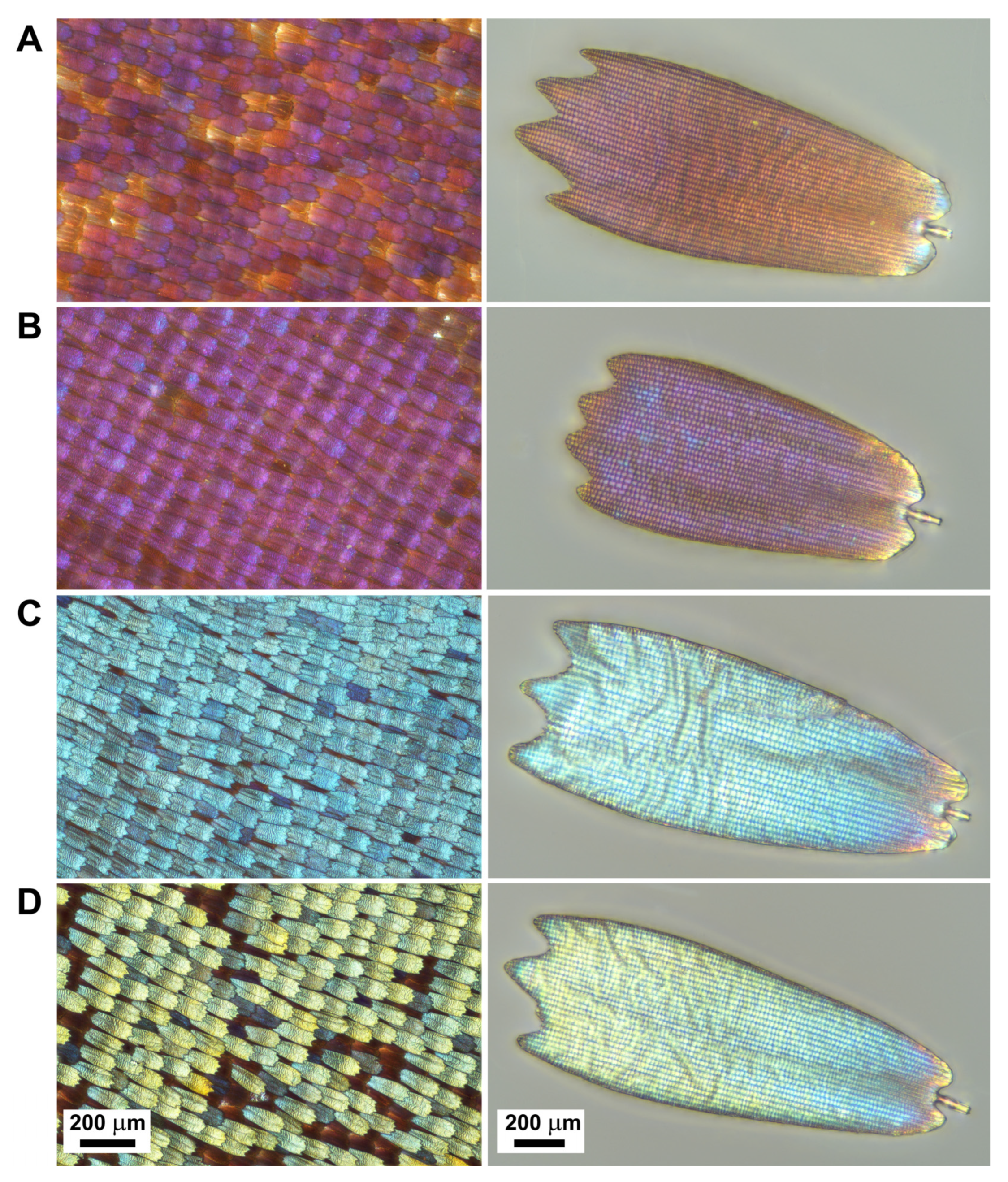 Insects 14 00303 g003