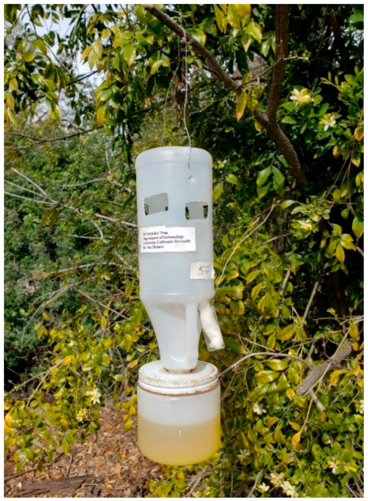 Insects 14 00311 g003 Insects 14 00311 g003