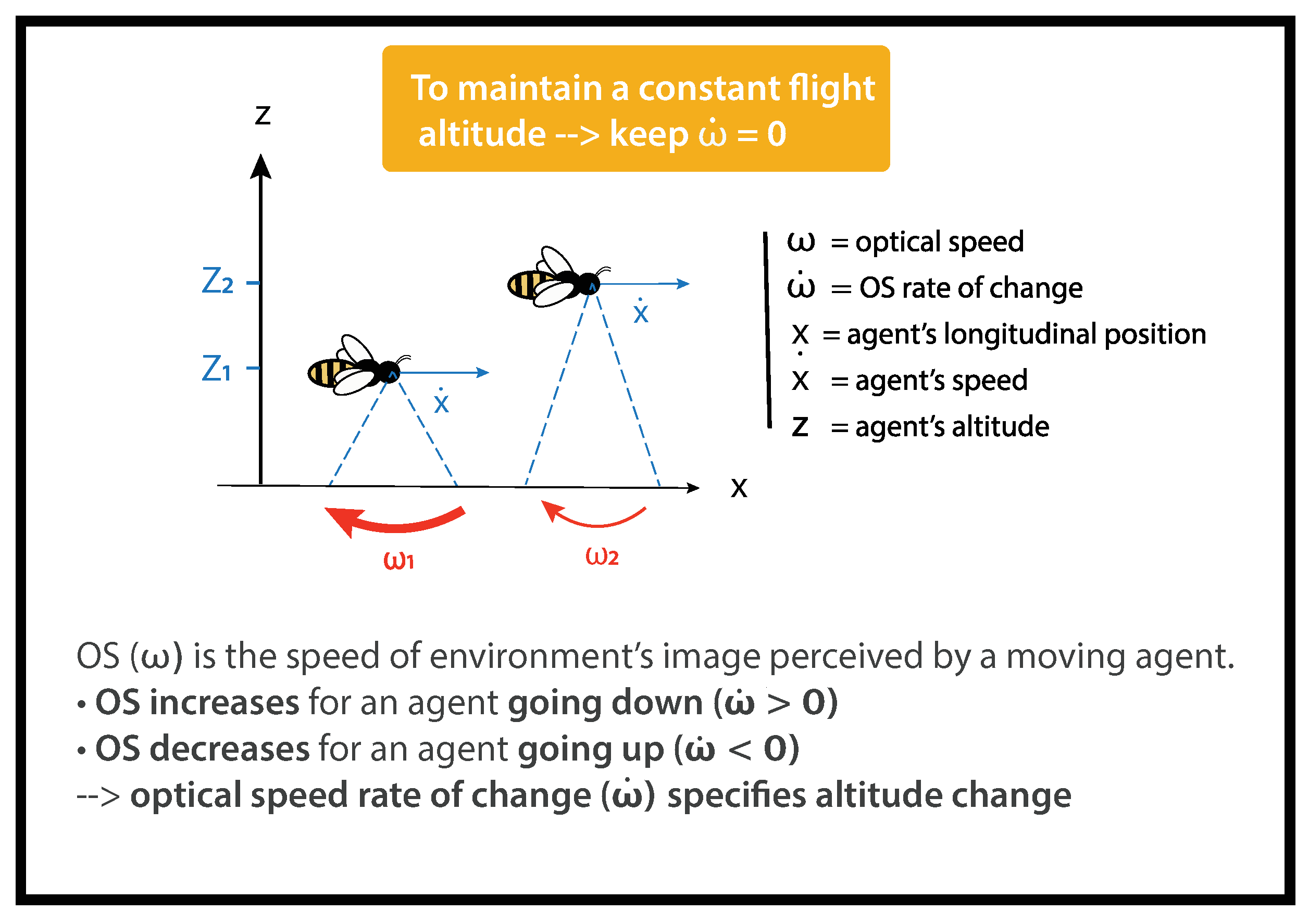 Insects 14 00313 g001