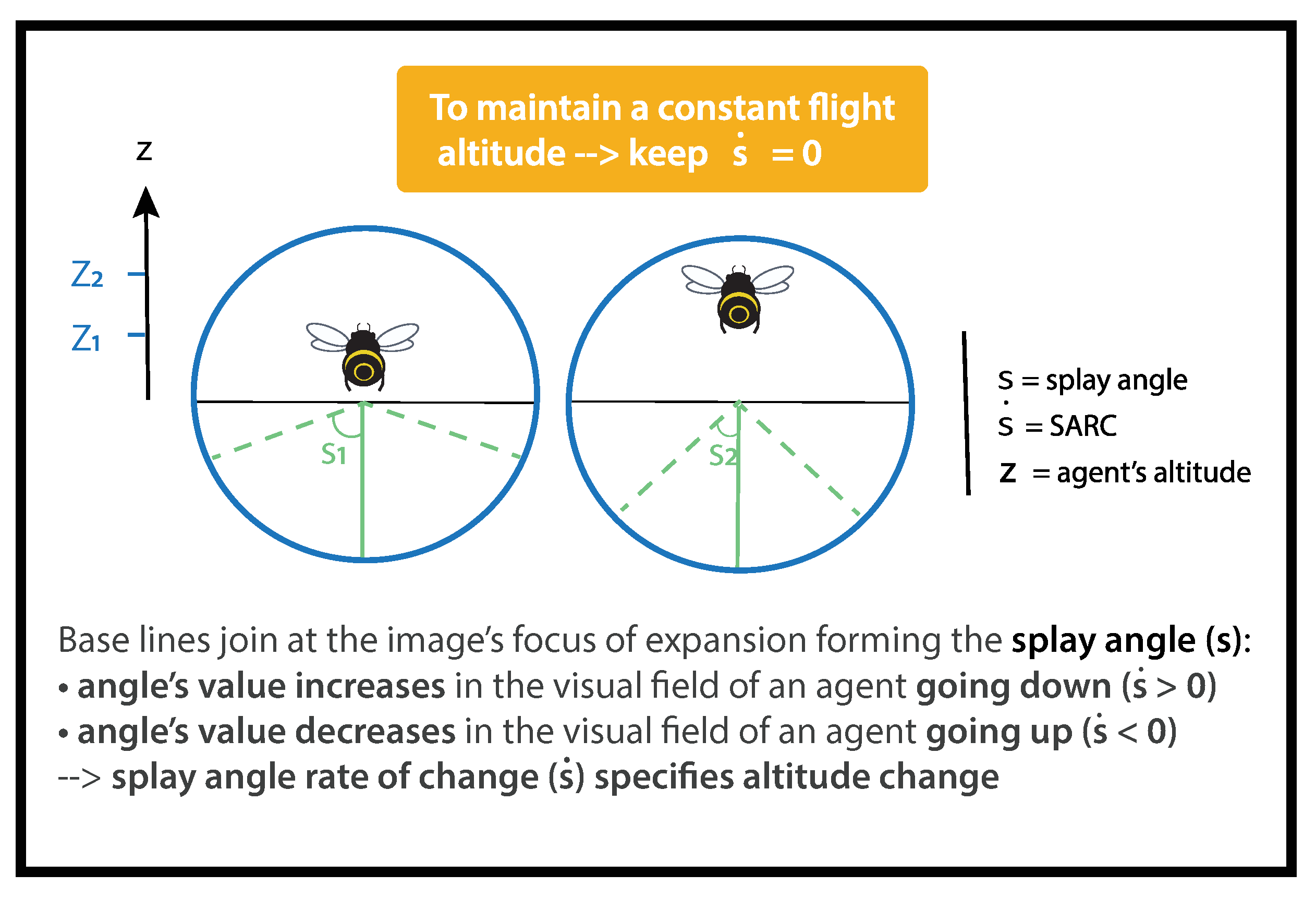 Insects 14 00313 g002
