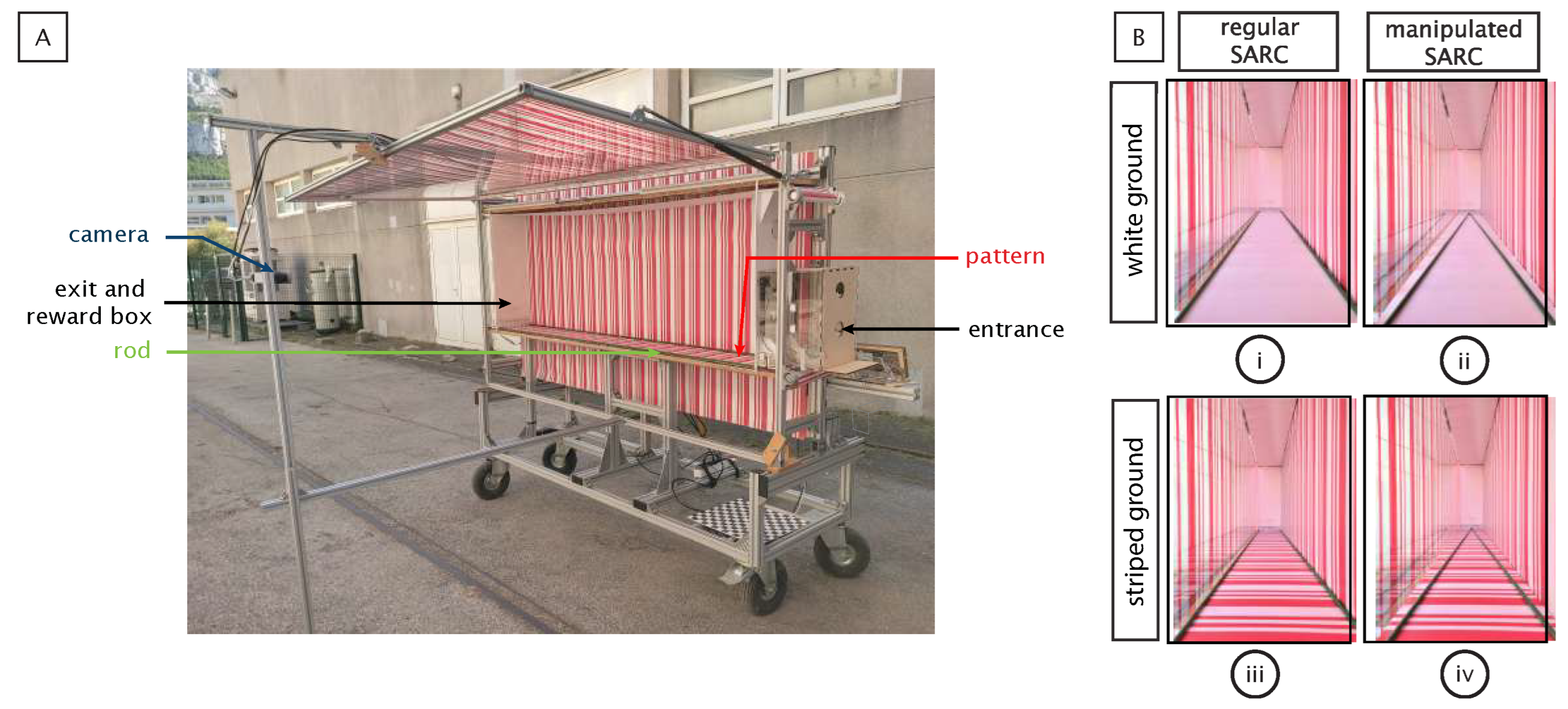 Insects 14 00313 g003