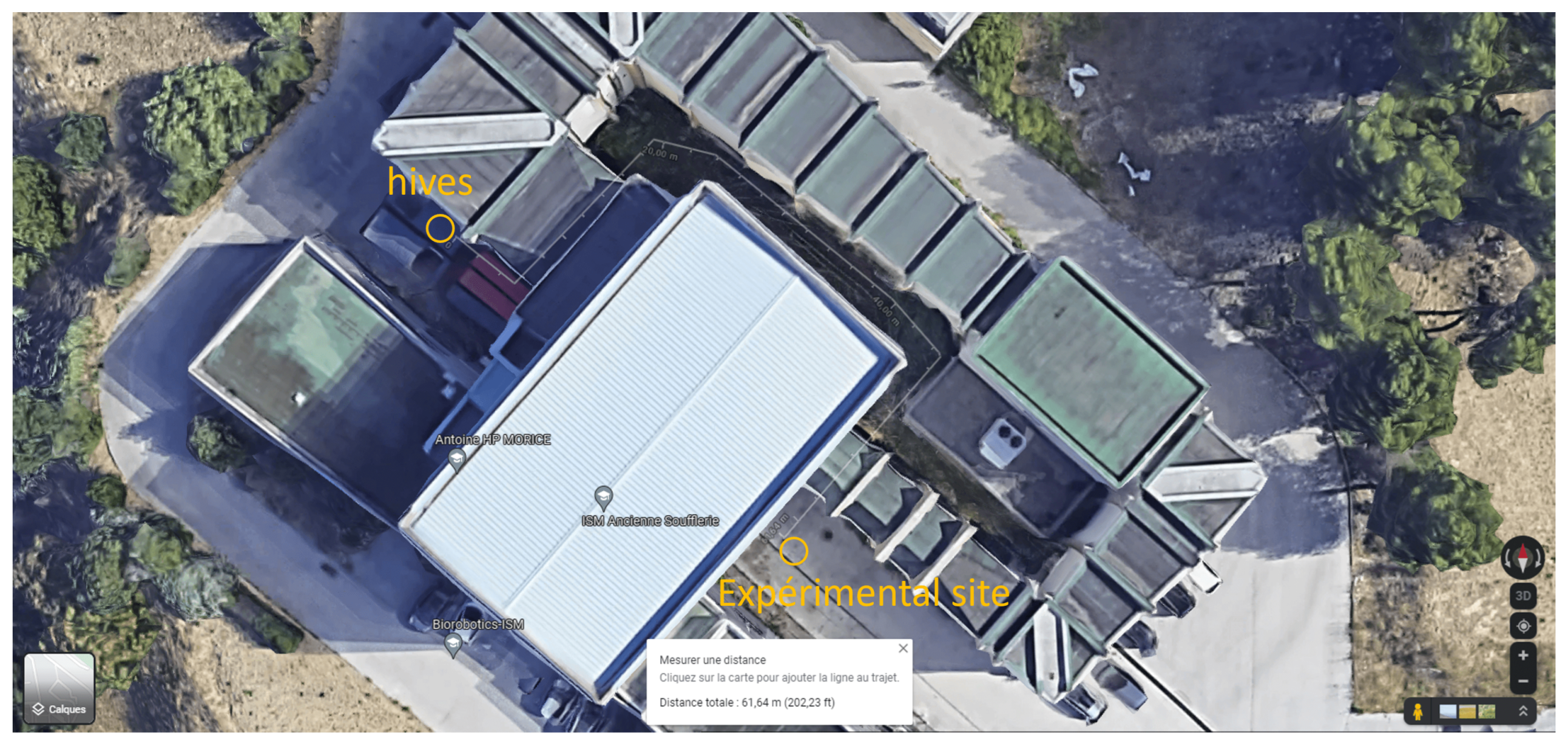 Insects 14 00313 g004