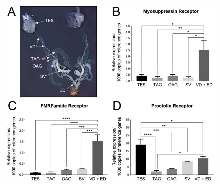 Insects 14 00324 g005 Insects 14 00324 g005