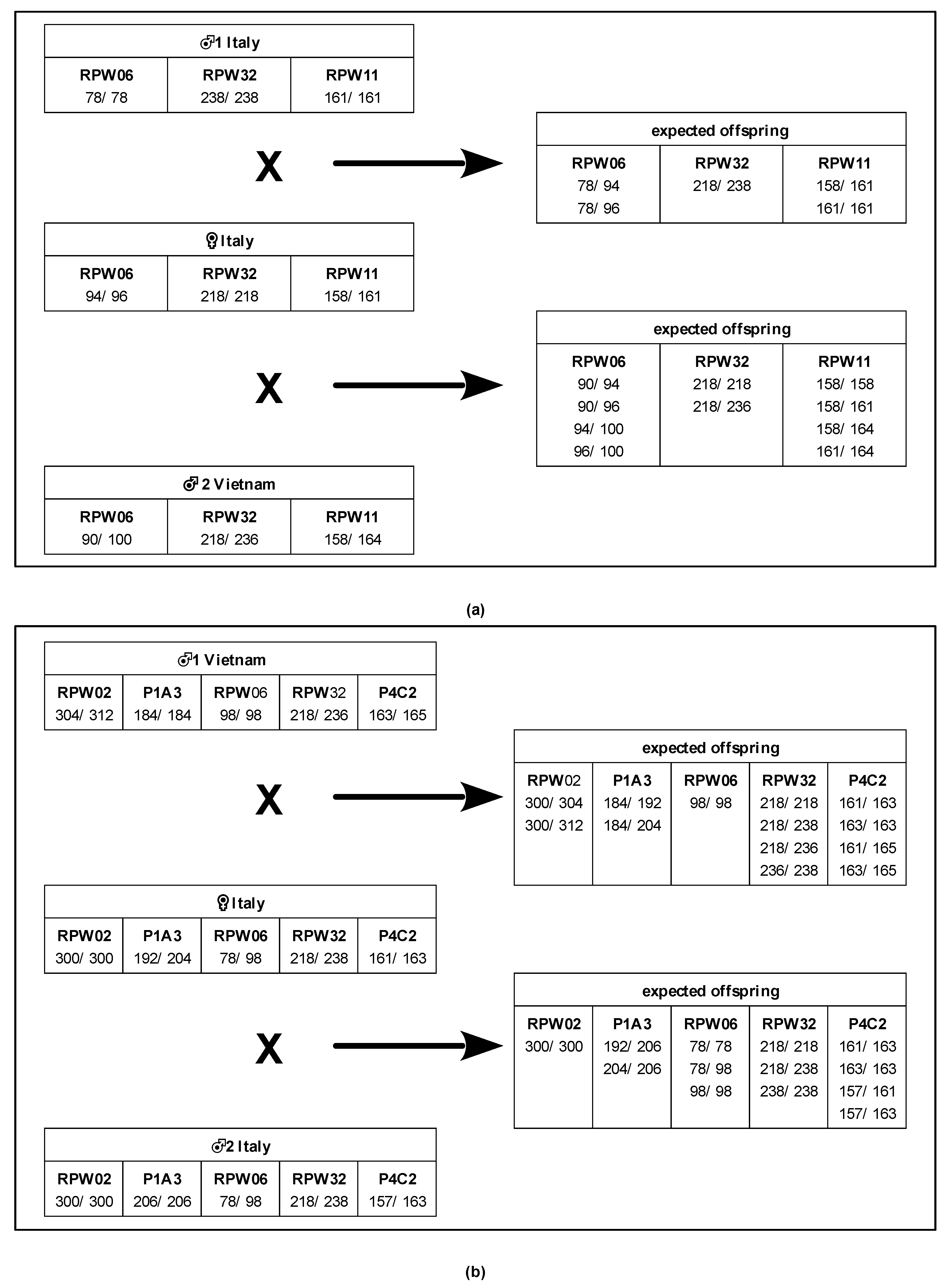 Insects 14 00326 g001
