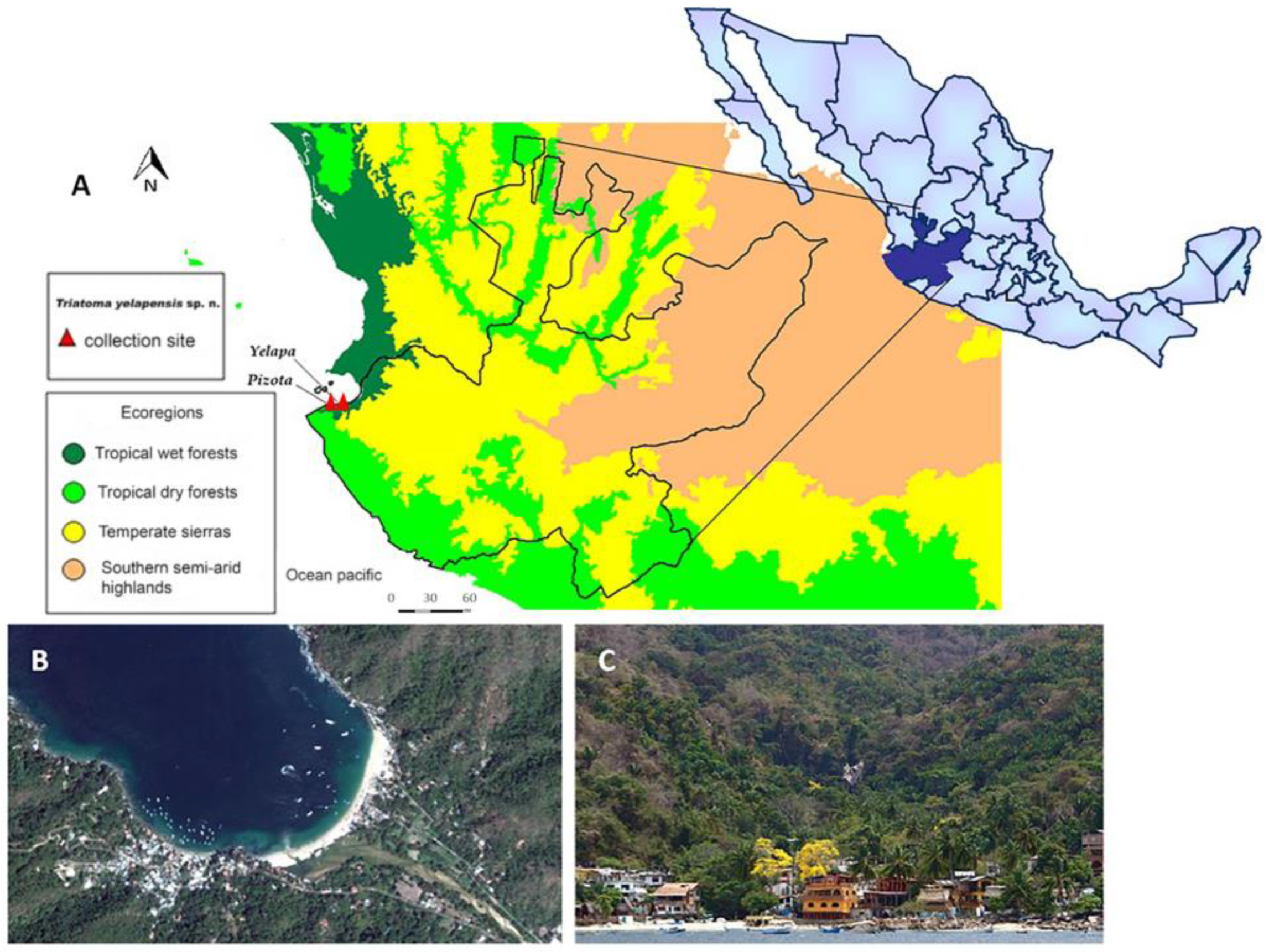 Insects 14 00331 g001 Insects 14 00331 g001