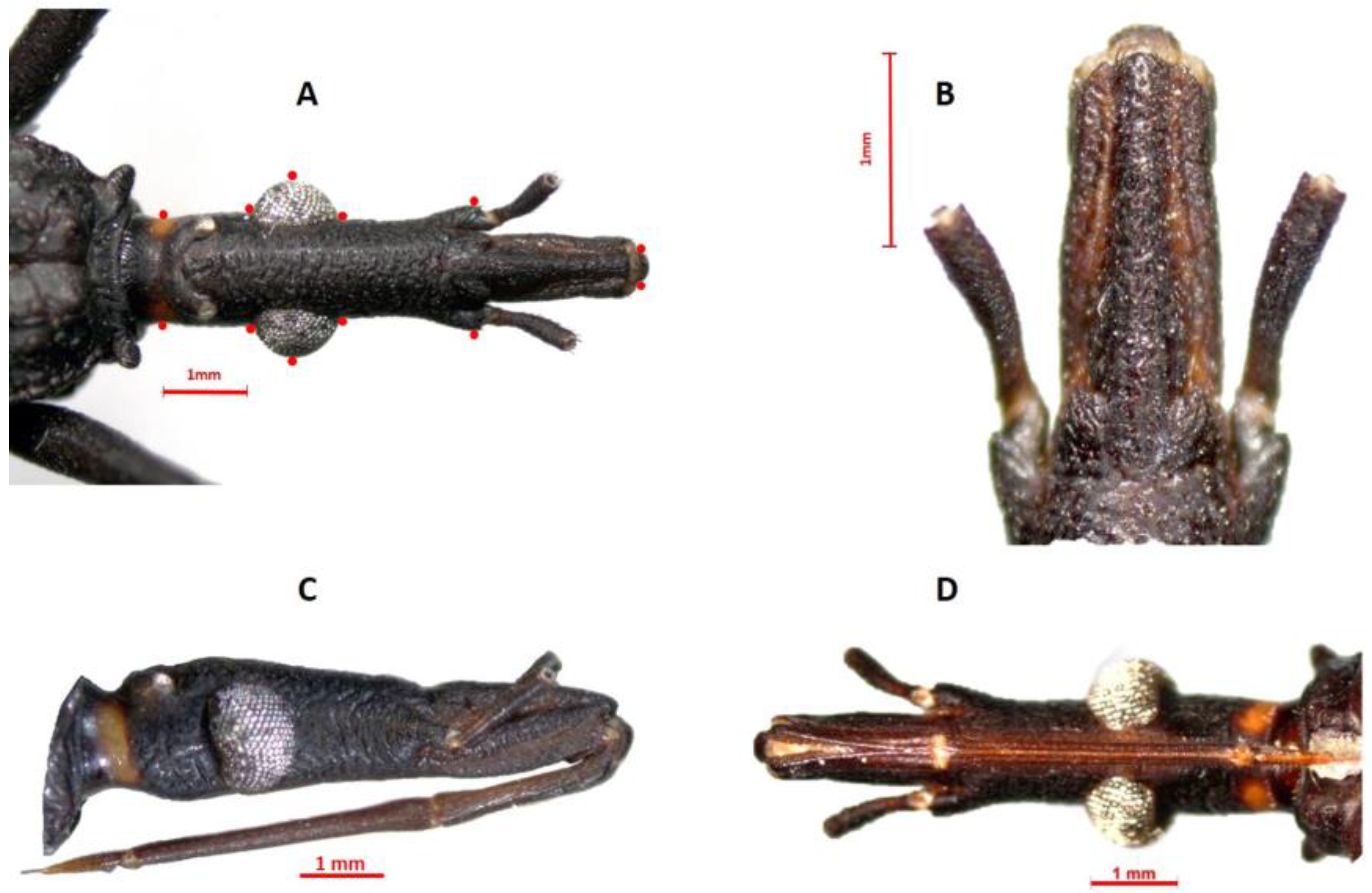 Insects 14 00331 g002 Insects 14 00331 g002