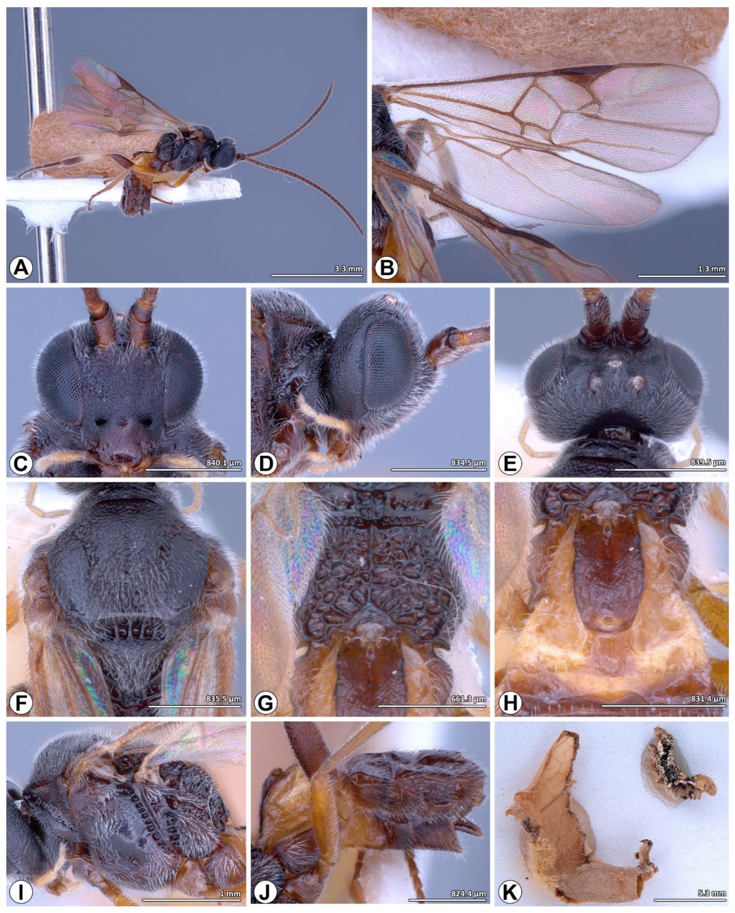 Insects 14 00338 g002 Insects 14 00338 g002