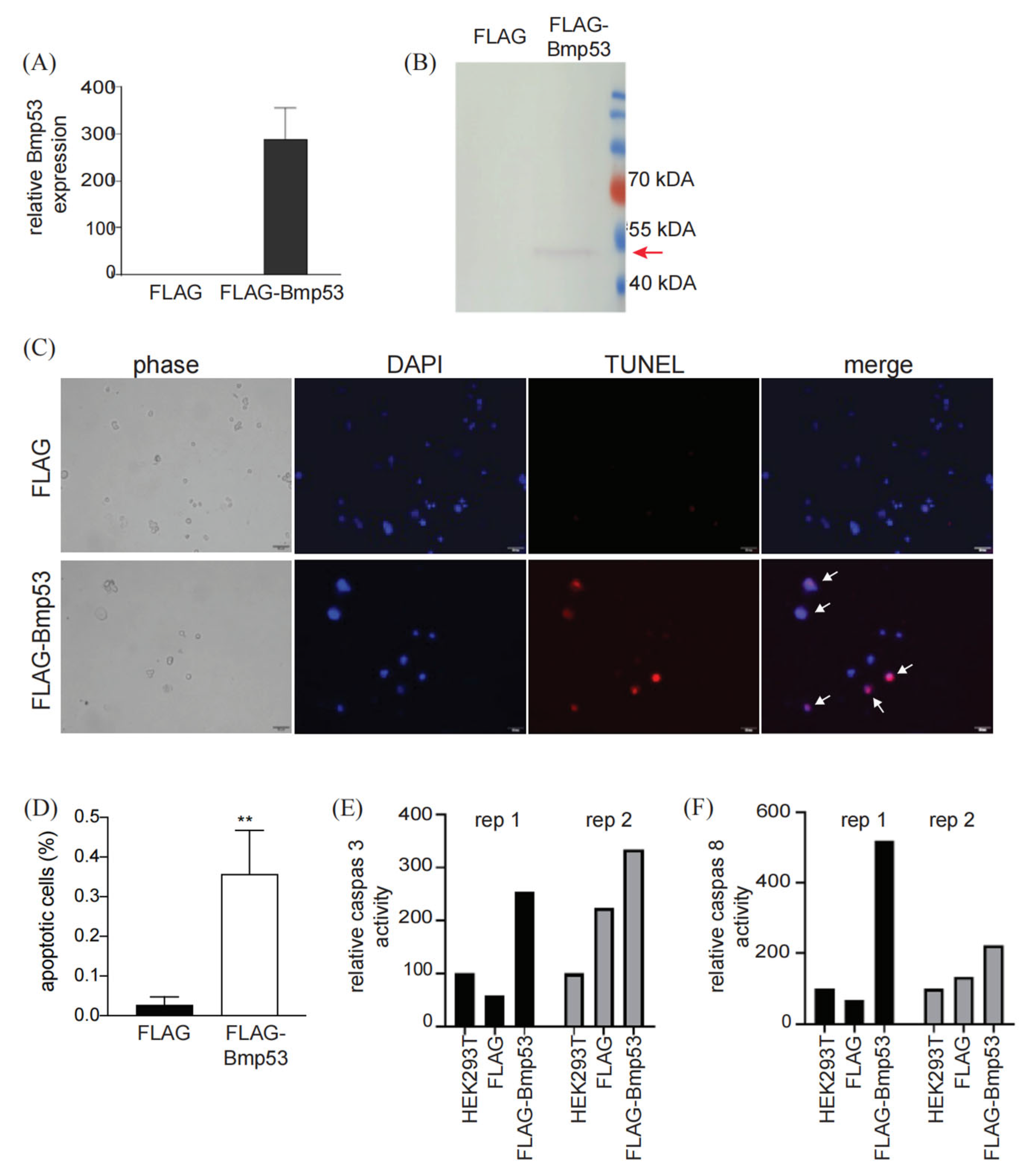 Insects 14 00362 g001 Insects 14 00362 g001