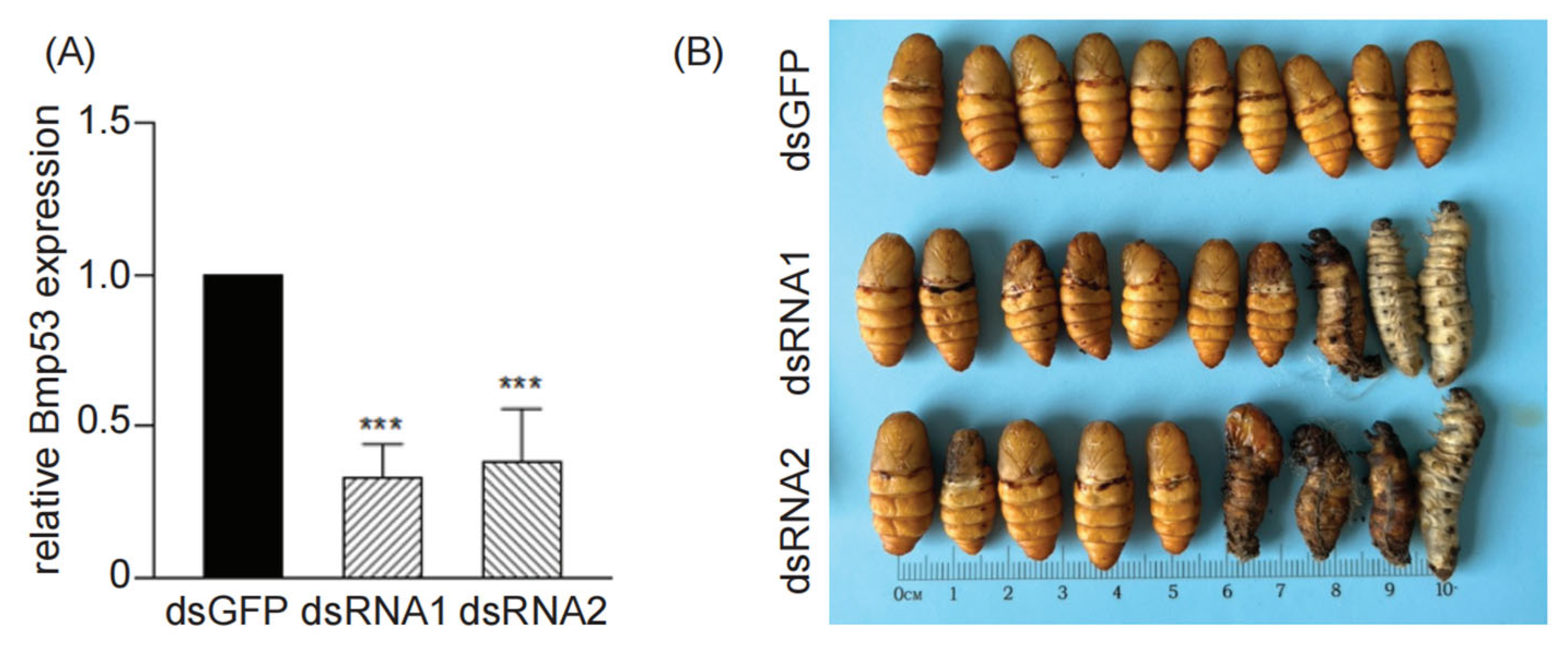 Insects 14 00362 g003 Insects 14 00362 g003