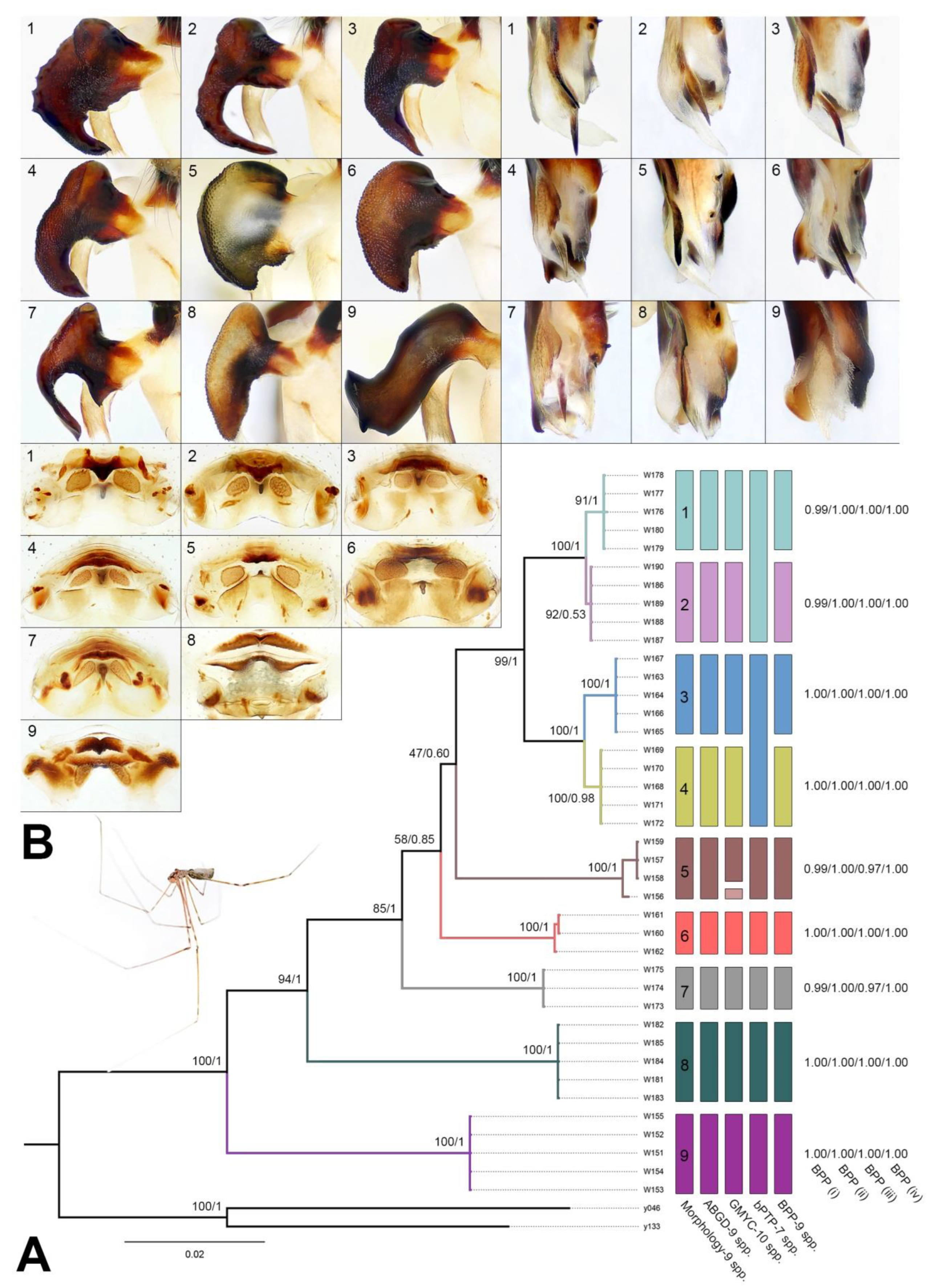 Insects 14 00364 g002