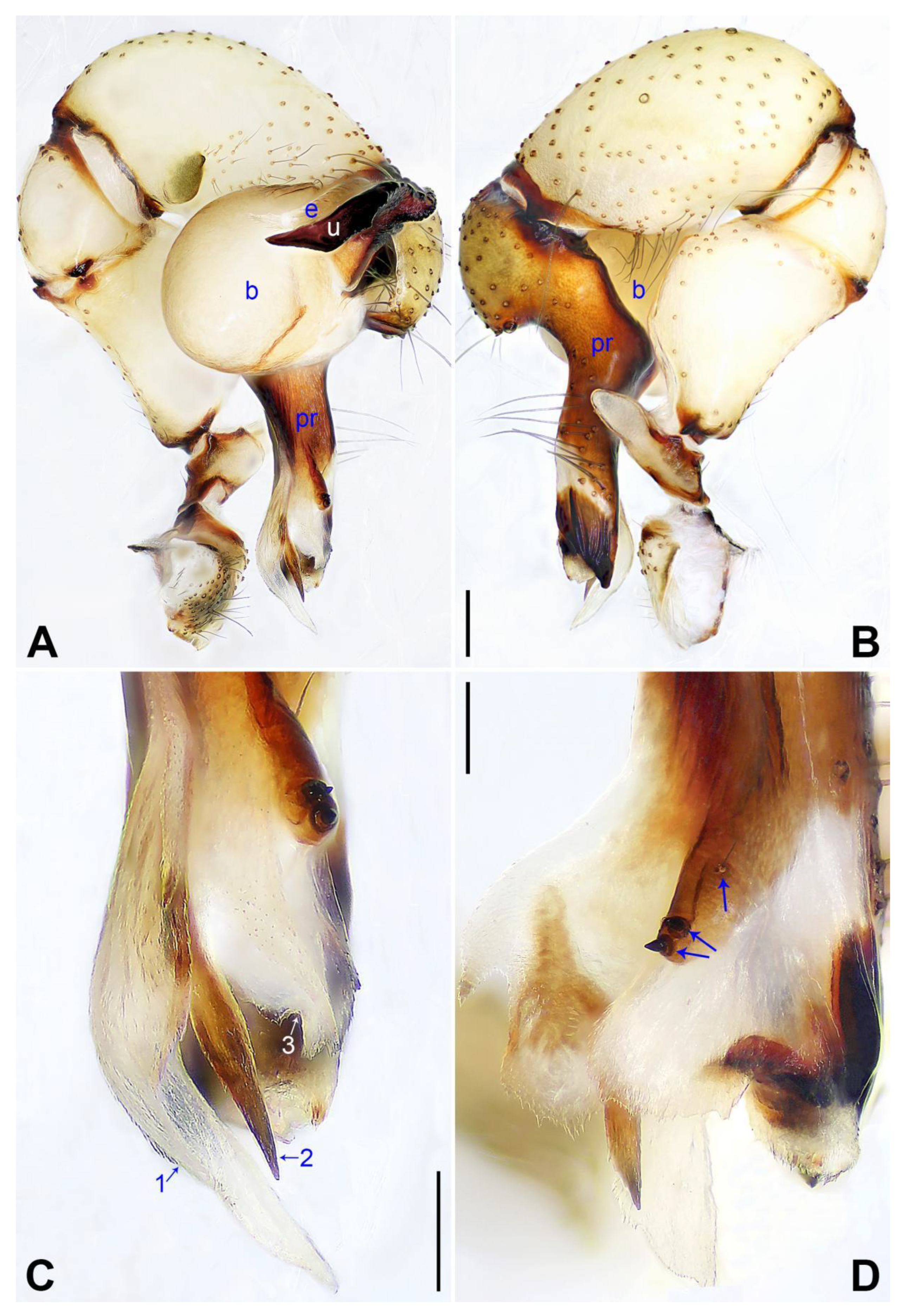 Insects 14 00364 g003