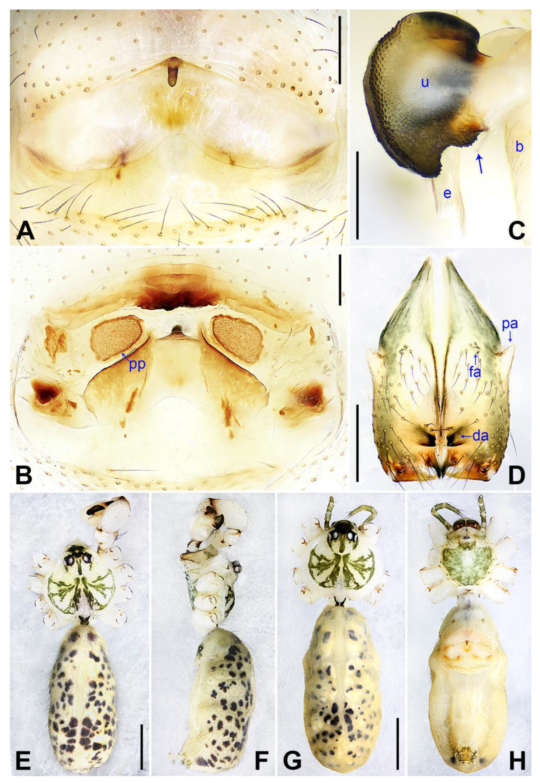 Insects 14 00364 g006