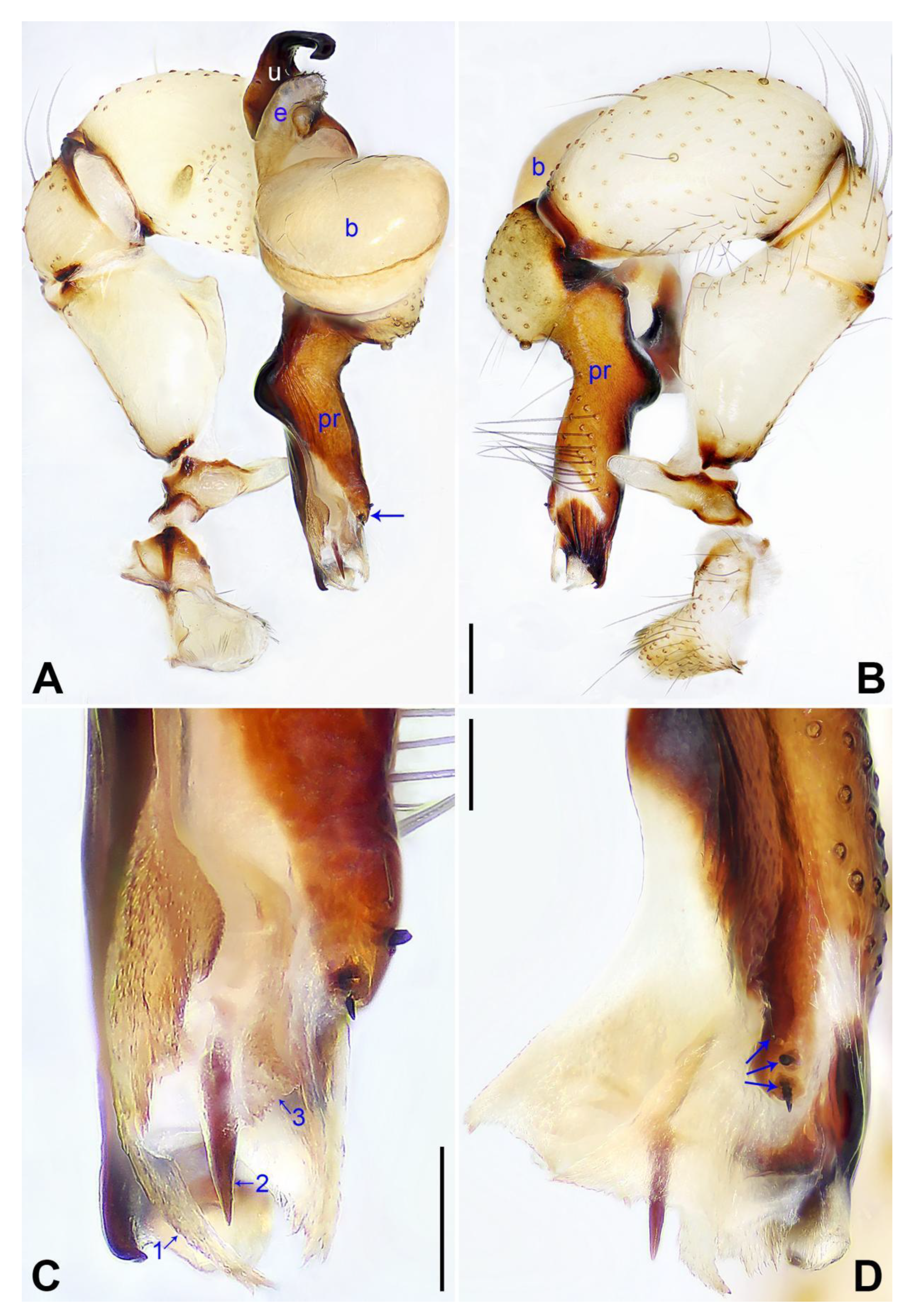 Insects 14 00364 g007