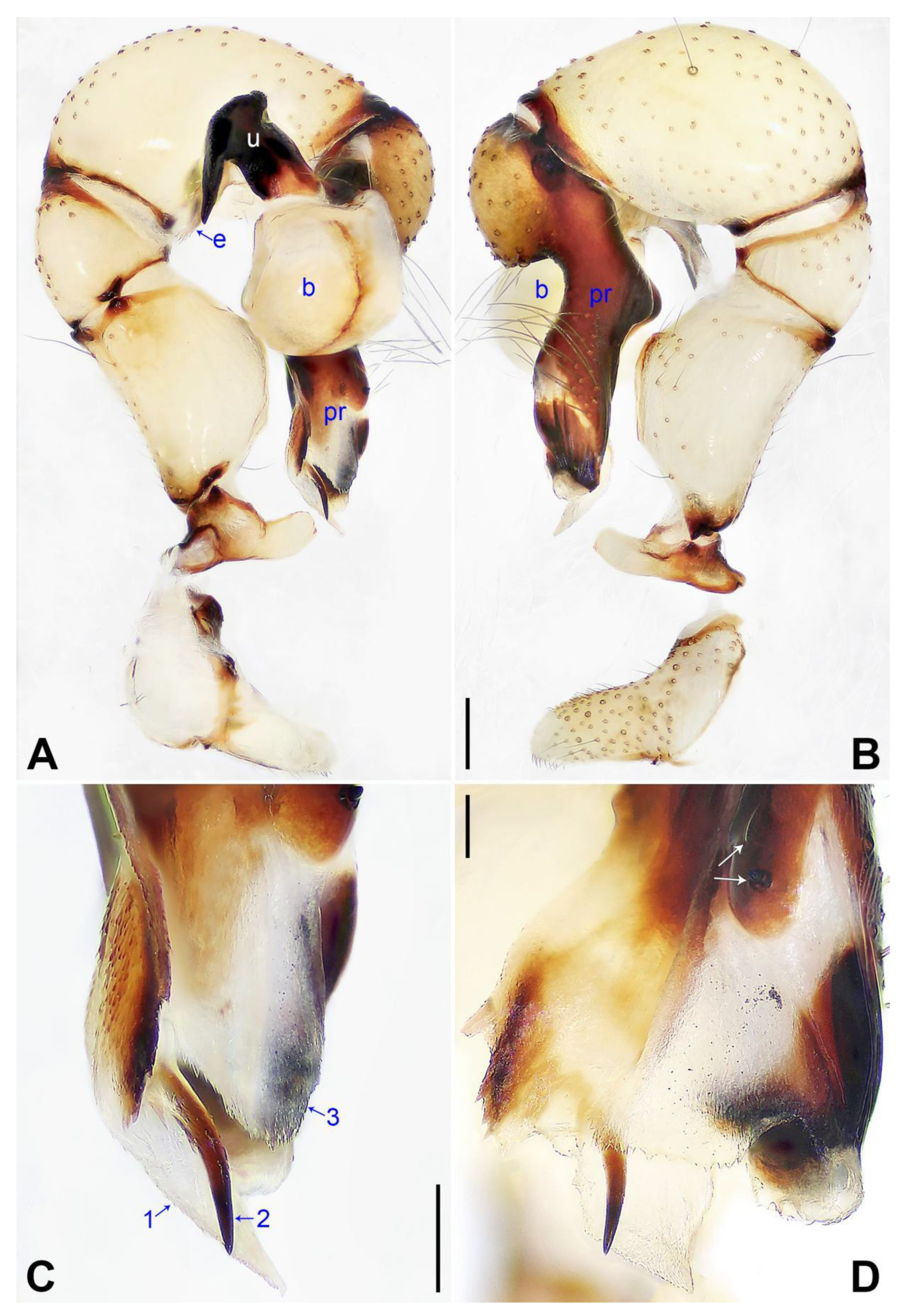 Insects 14 00364 g009
