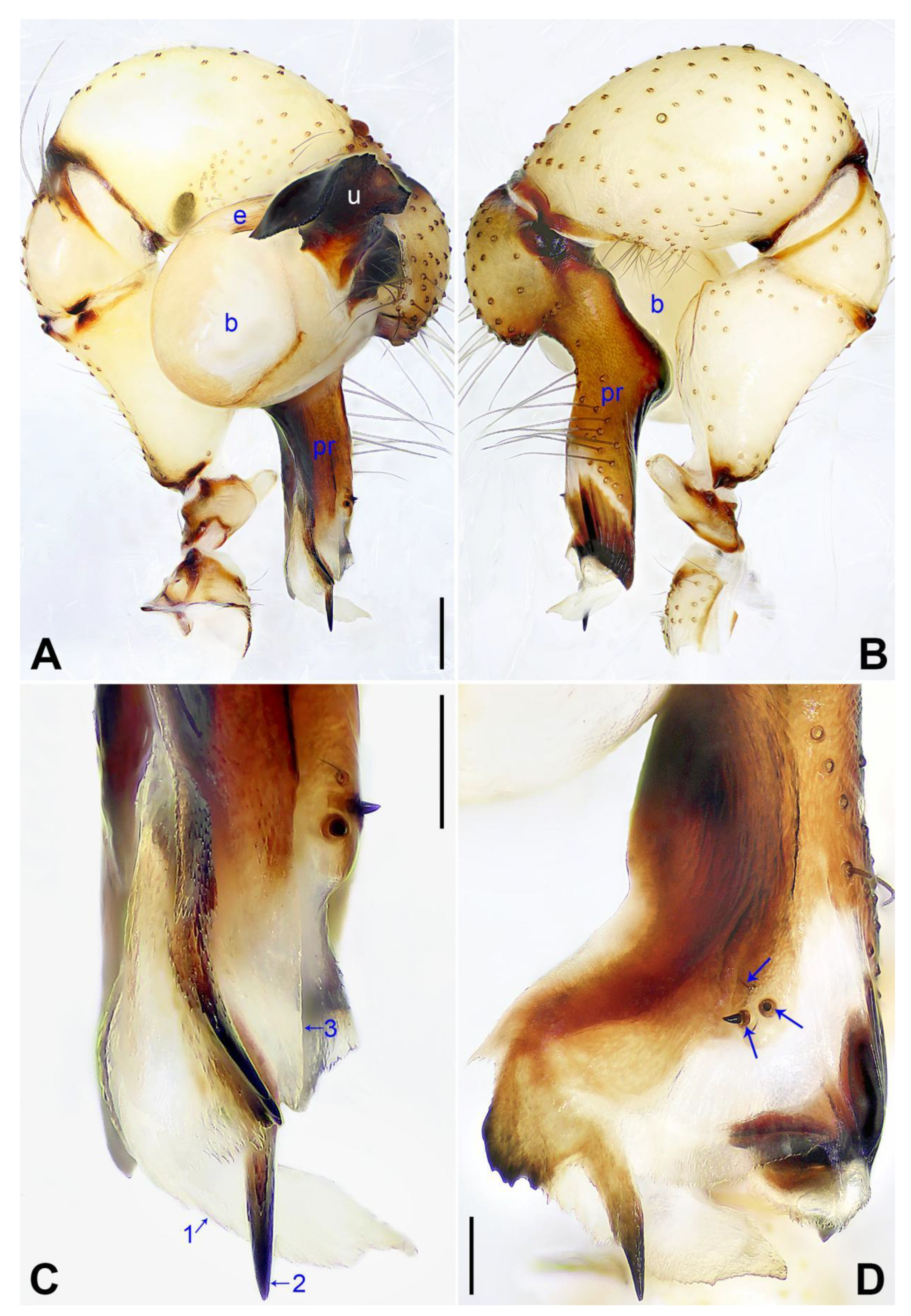 Insects 14 00364 g011