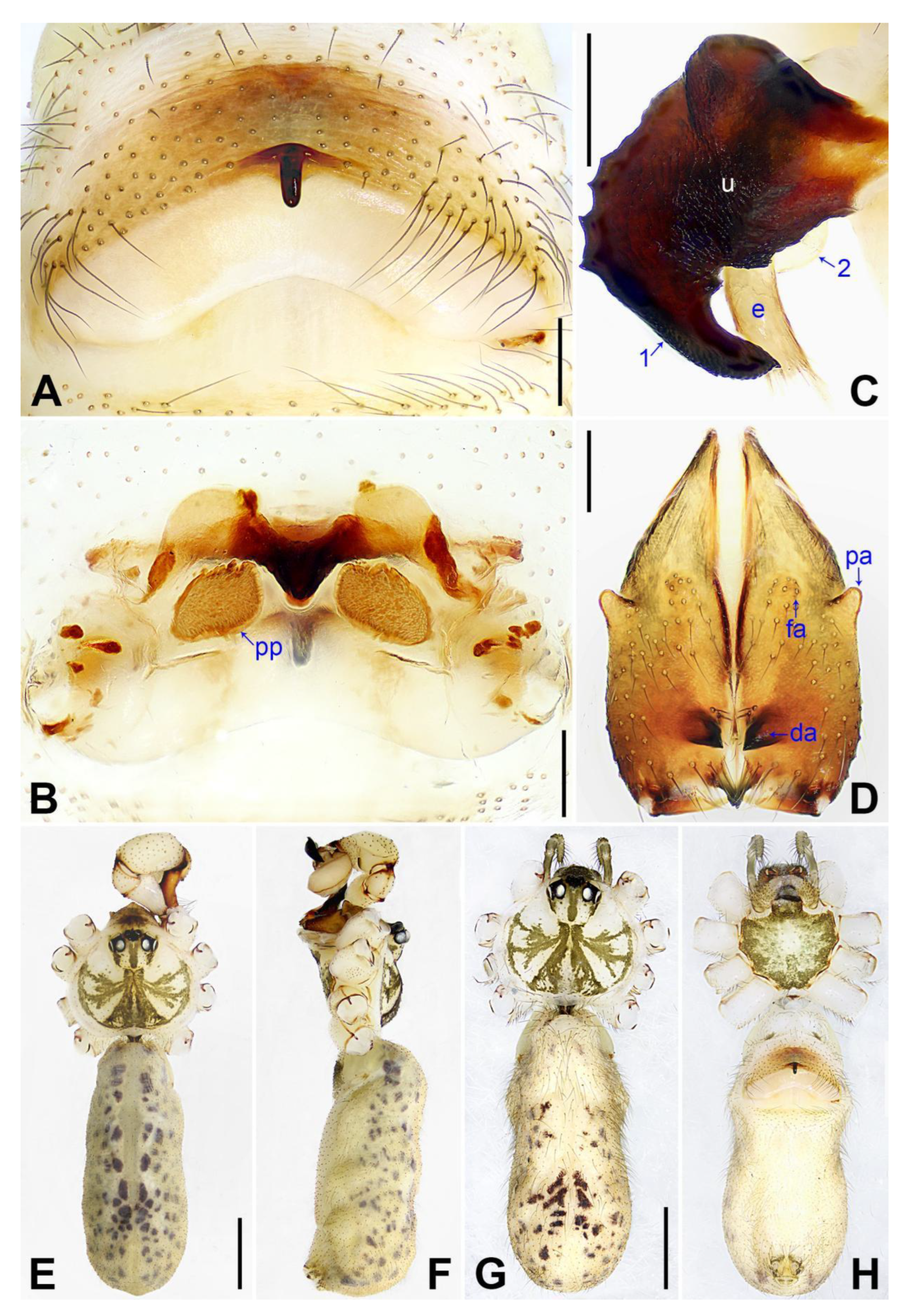 Insects 14 00364 g012