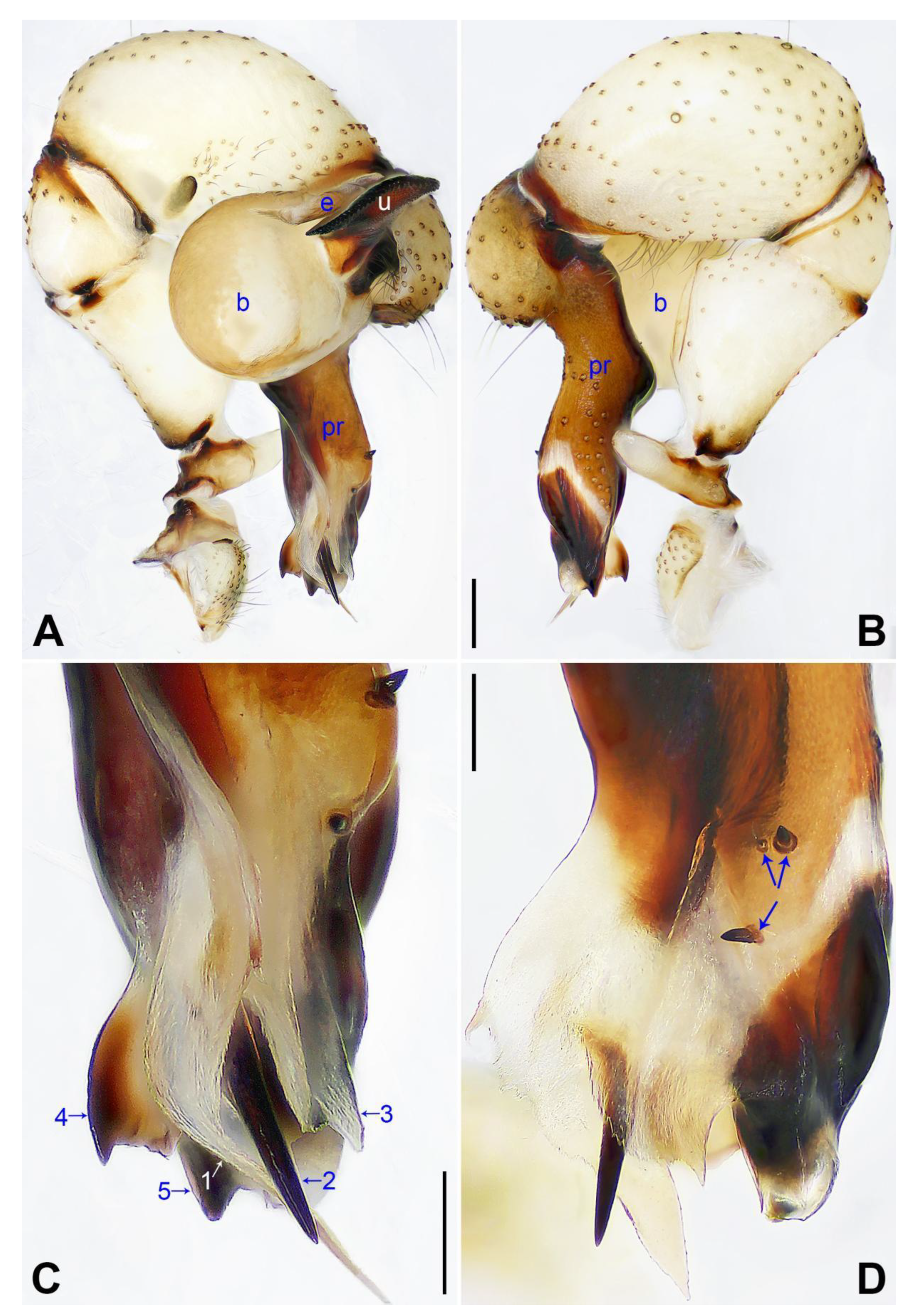 Insects 14 00364 g013