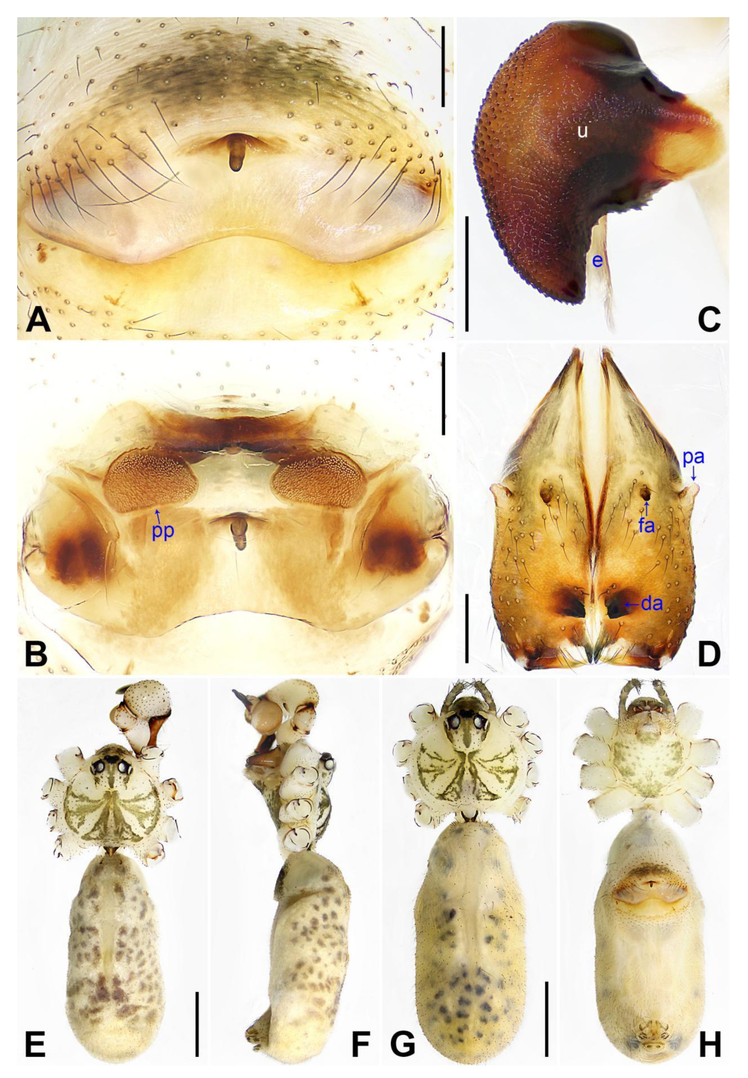Insects 14 00364 g014
