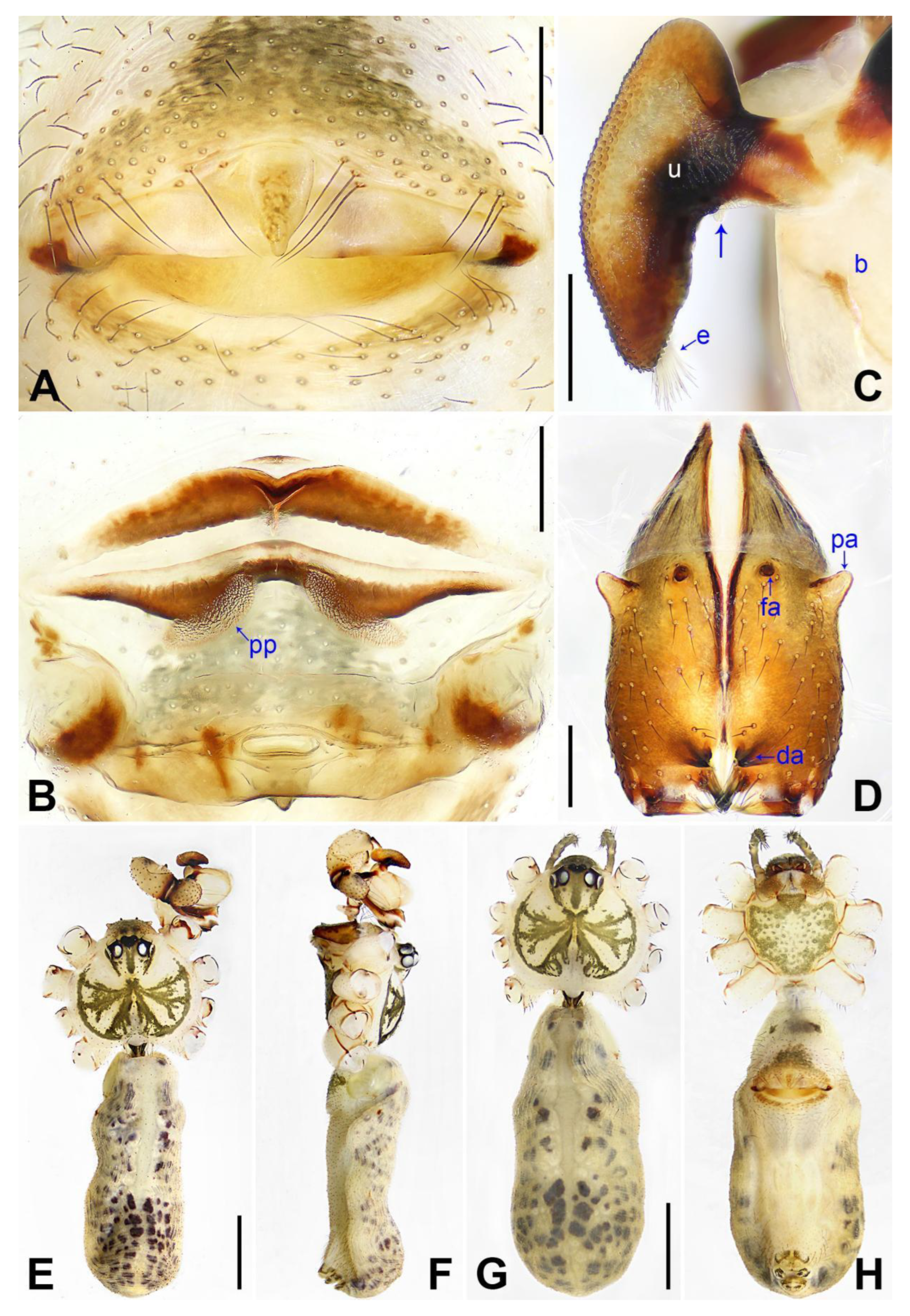 Insects 14 00364 g016