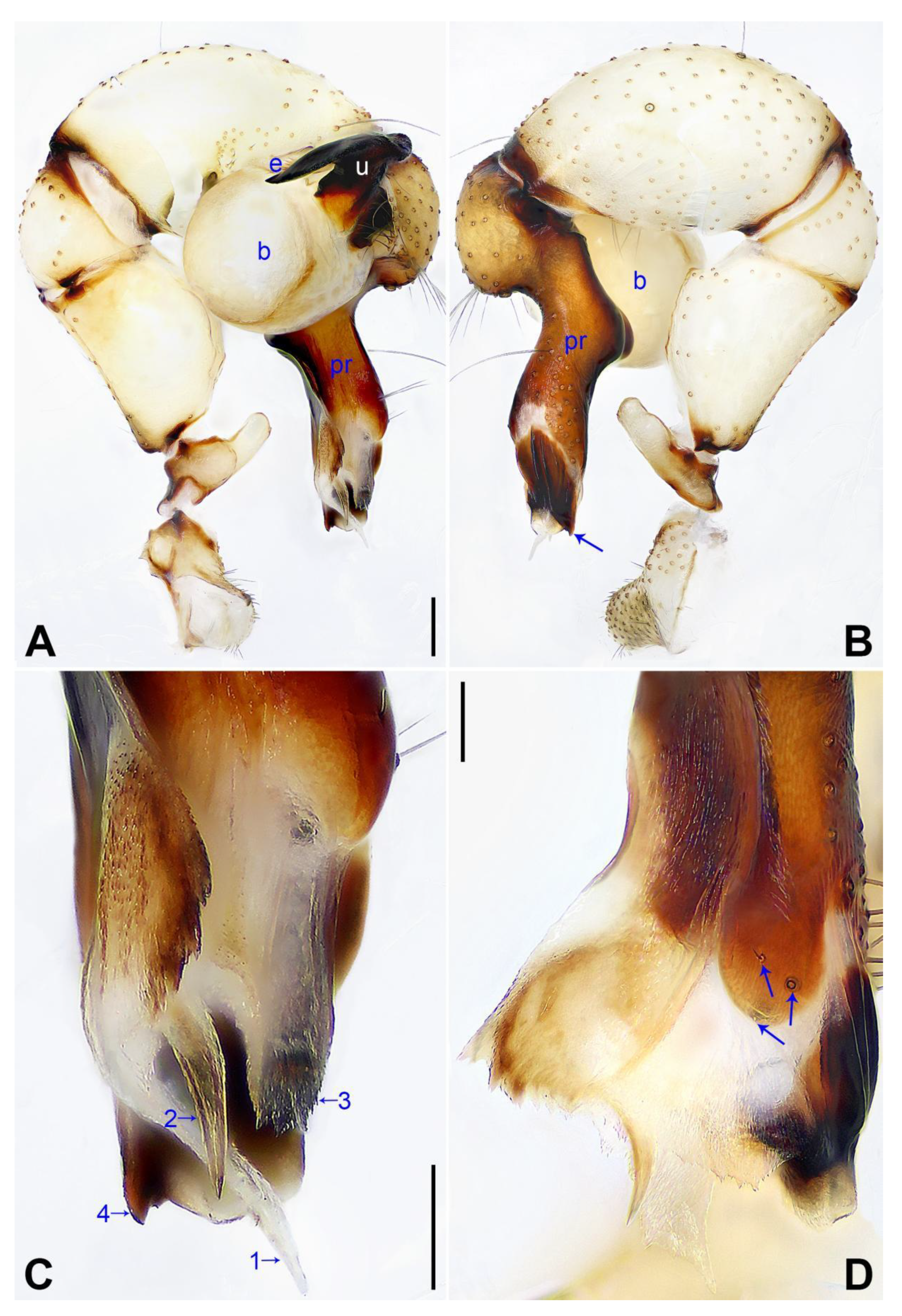 Insects 14 00364 g017