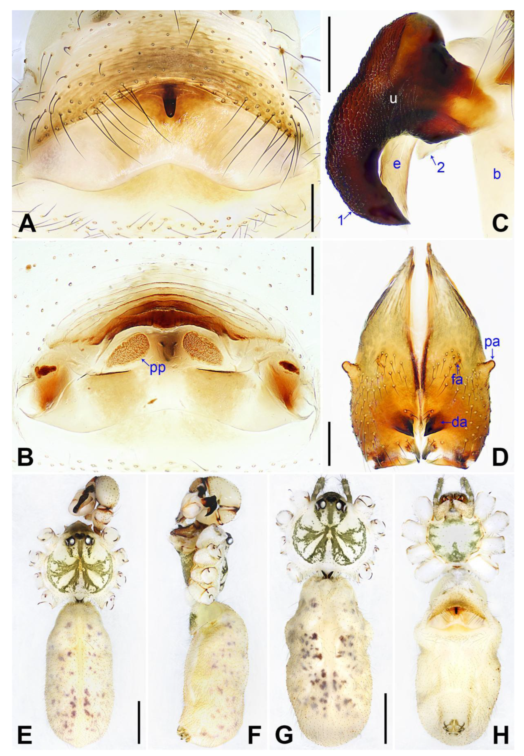 Insects 14 00364 g018