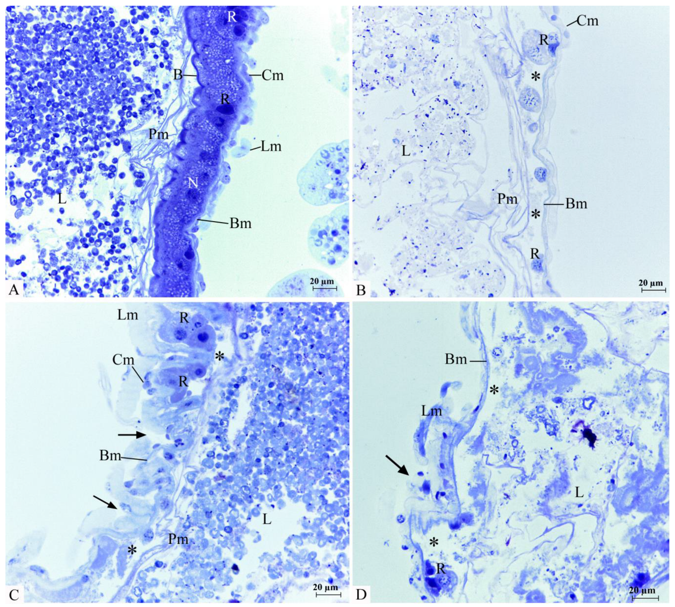 Insects 14 00367 g003