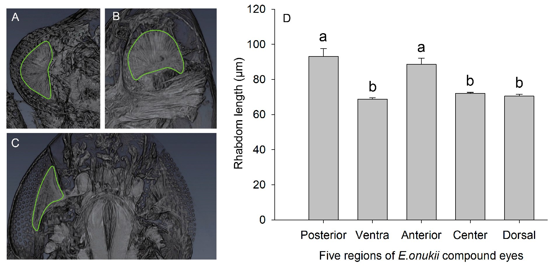 Insects 14 00370 g004