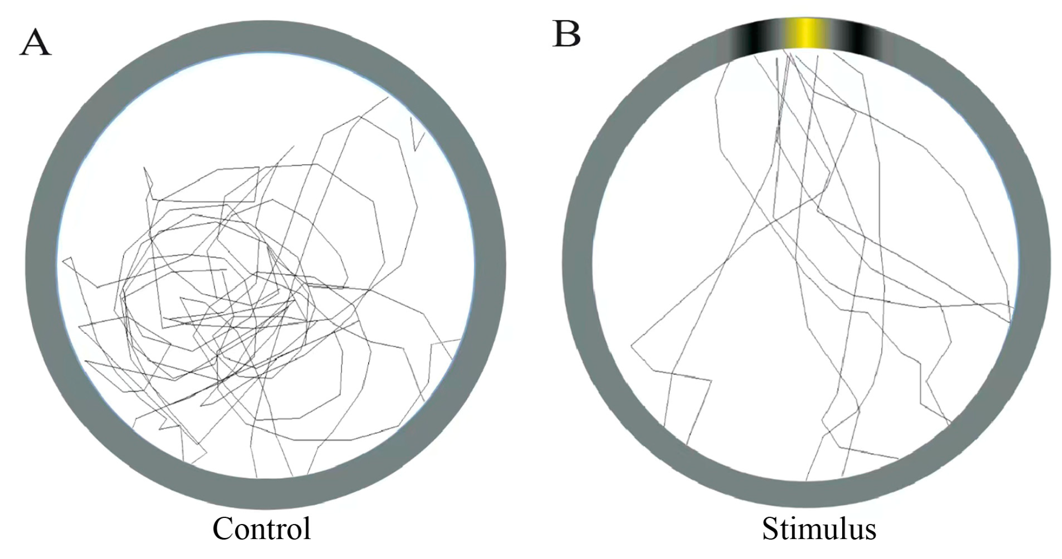 Insects 14 00370 g006