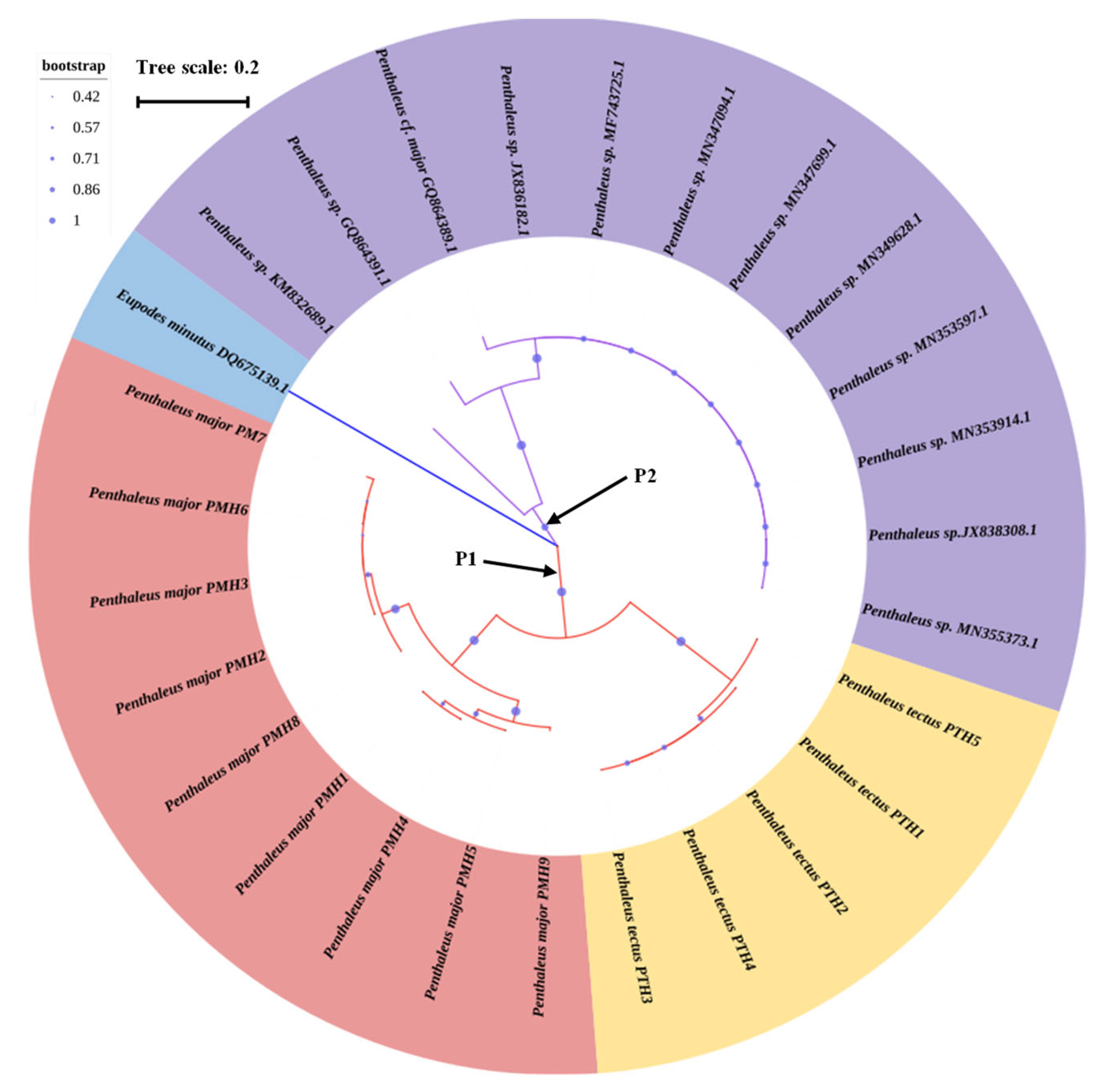 Insects 14 00377 g003 Insects 14 00377 g003