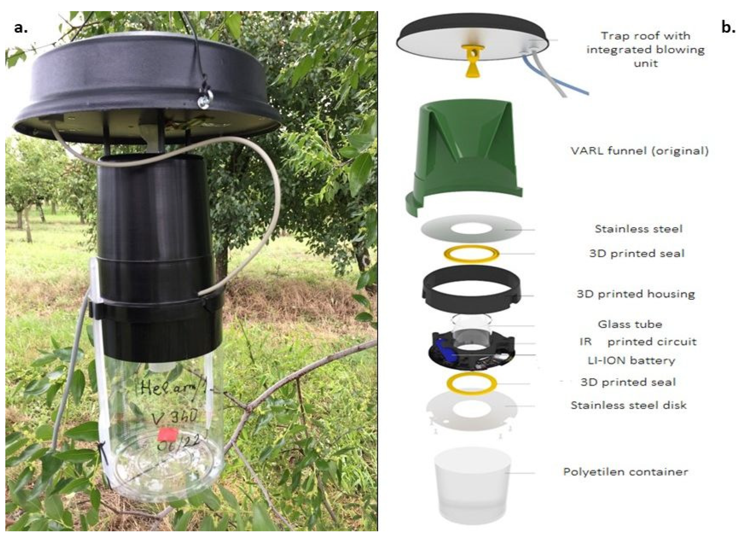 Insects 14 00381 g001