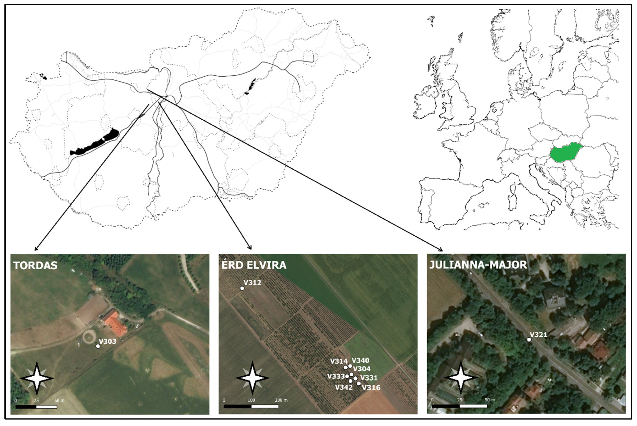 Insects 14 00381 g002