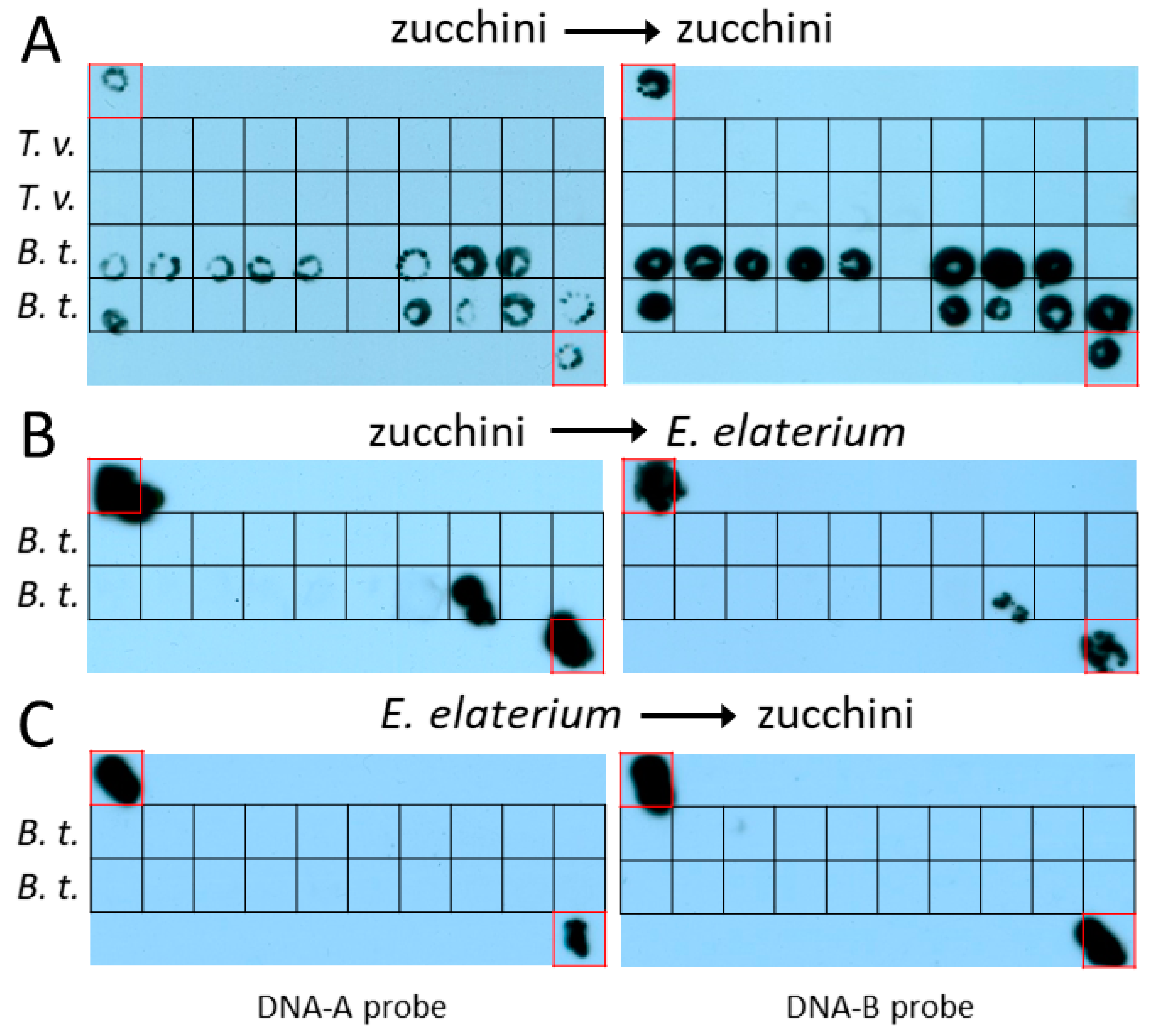 Insects 14 00384 g001 Insects 14 00384 g001