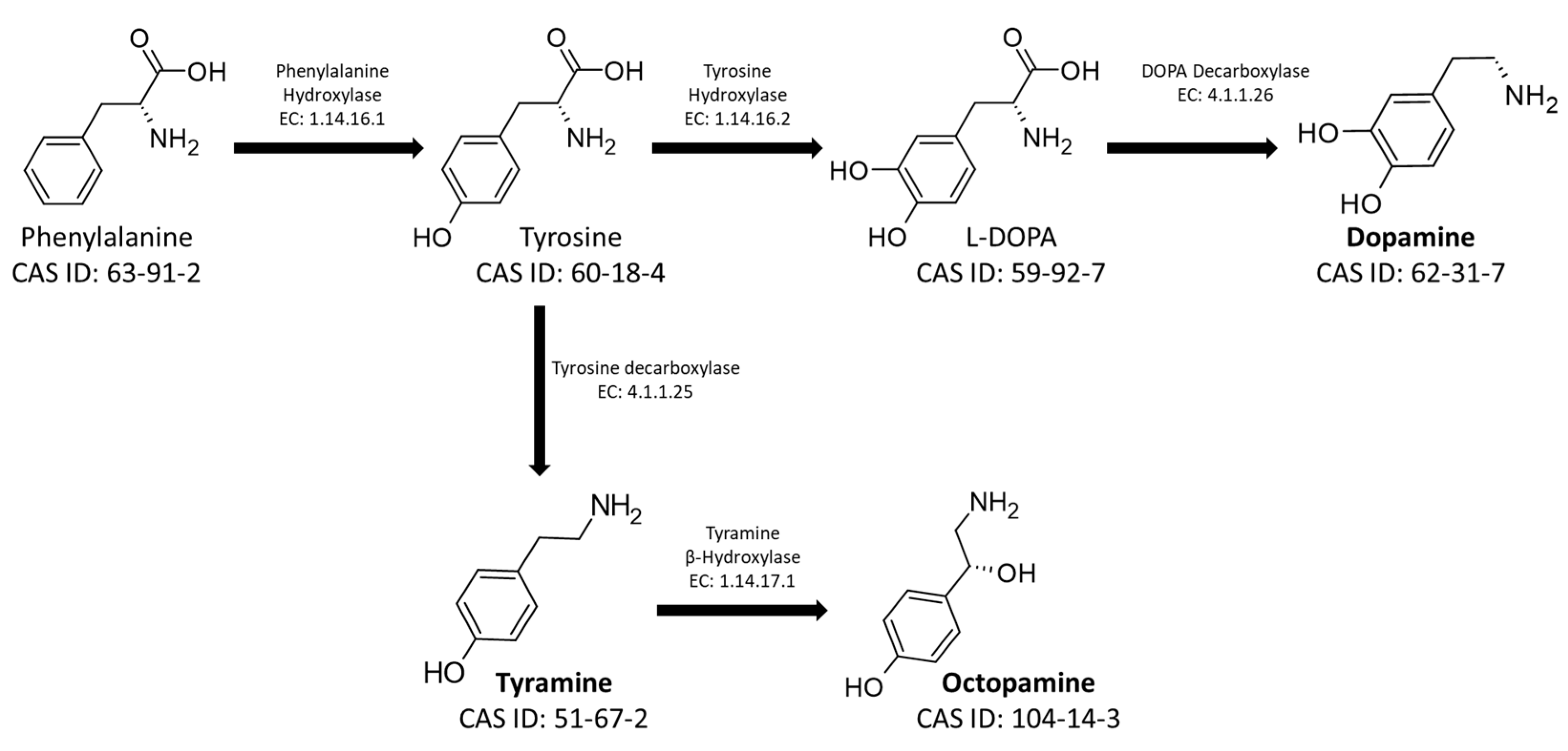 Insects 14 00386 g001 Insects 14 00386 g001