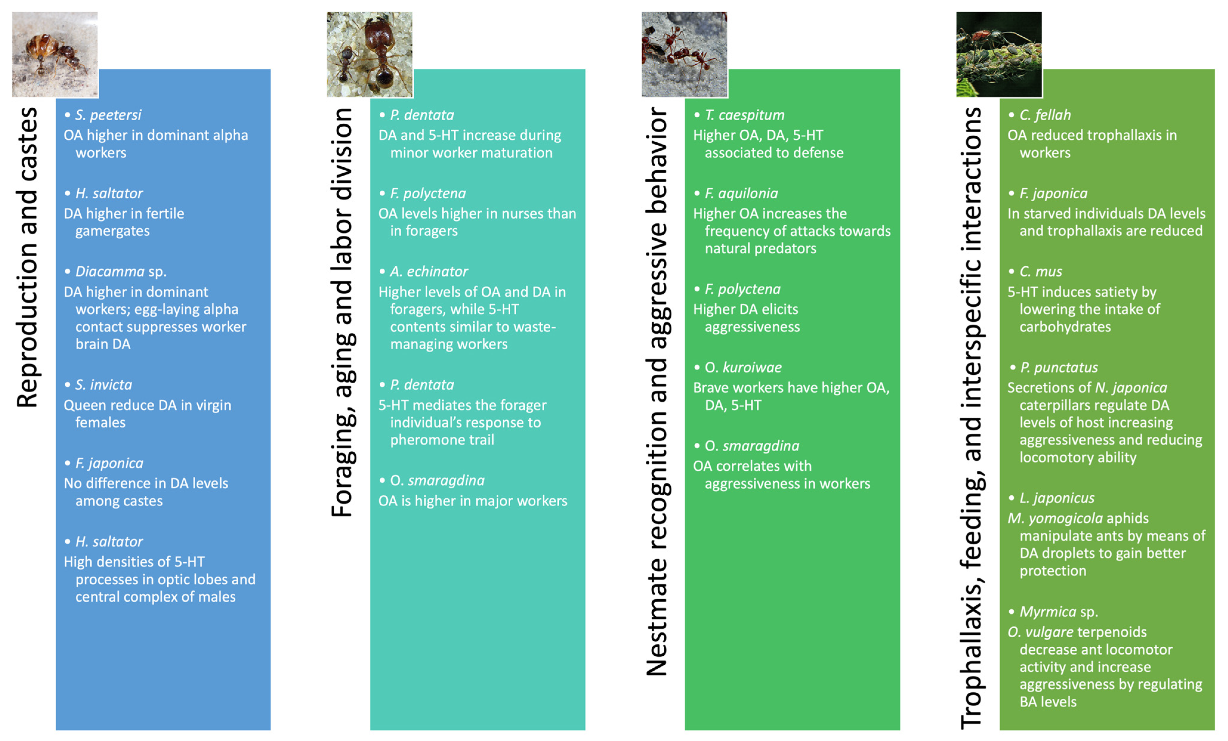 Insects 14 00386 g006