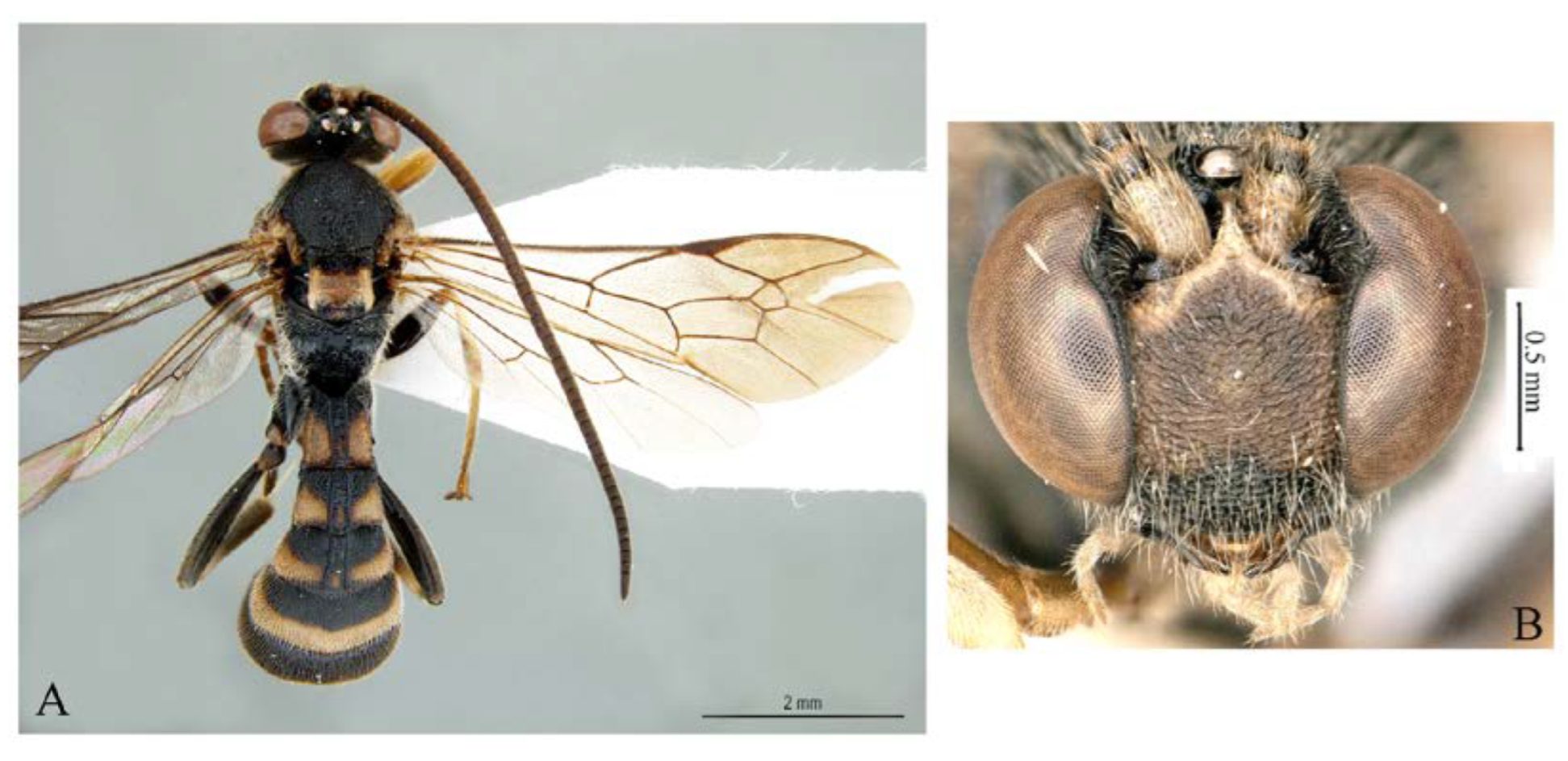 Insects 14 00389 g004